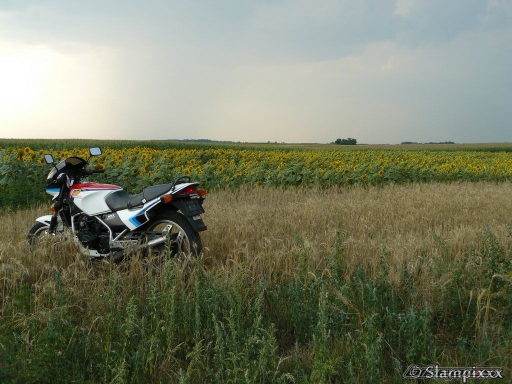 Photo 2258233