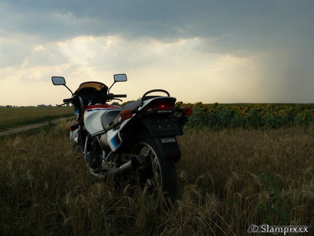 Photo 2258234