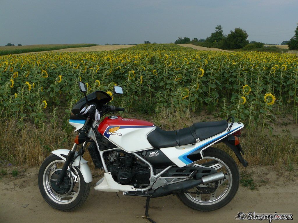 Photo 2258235