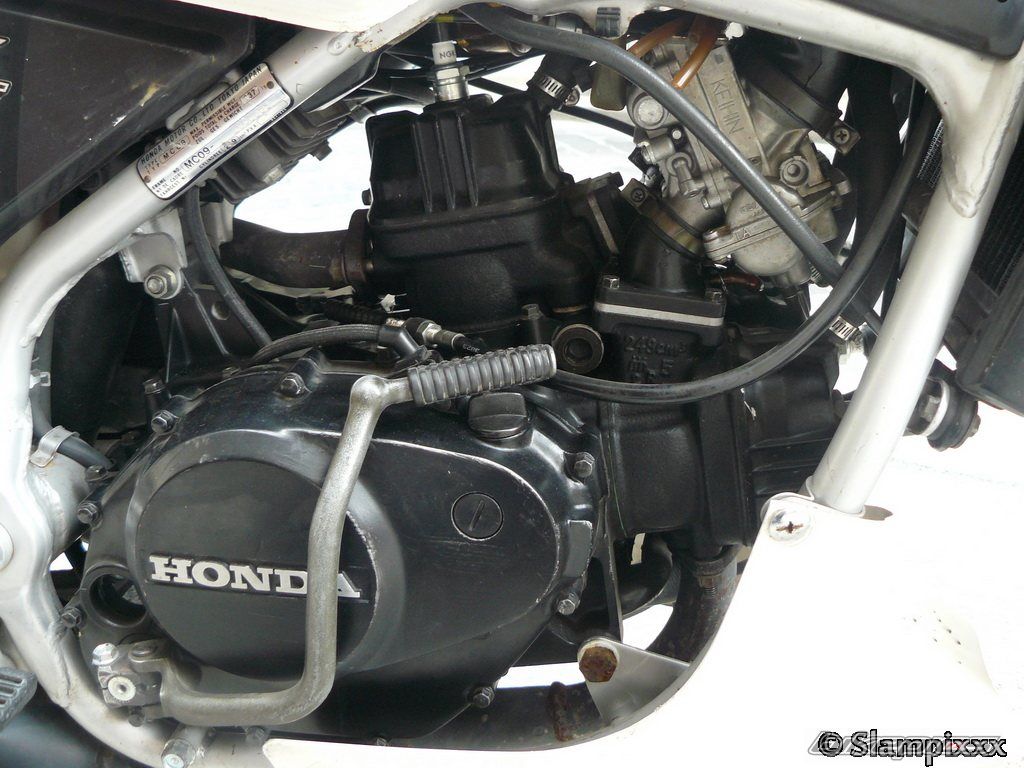 Photo 2258242