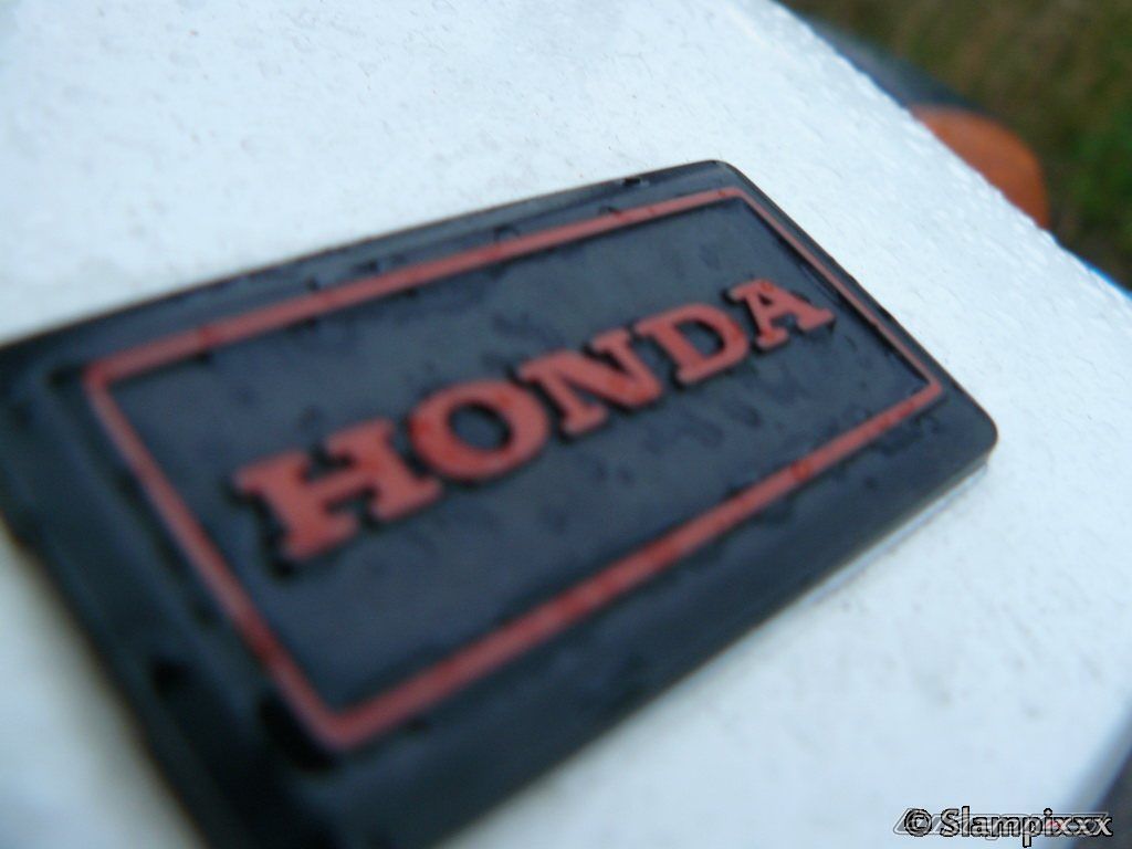 Photo 2258245
