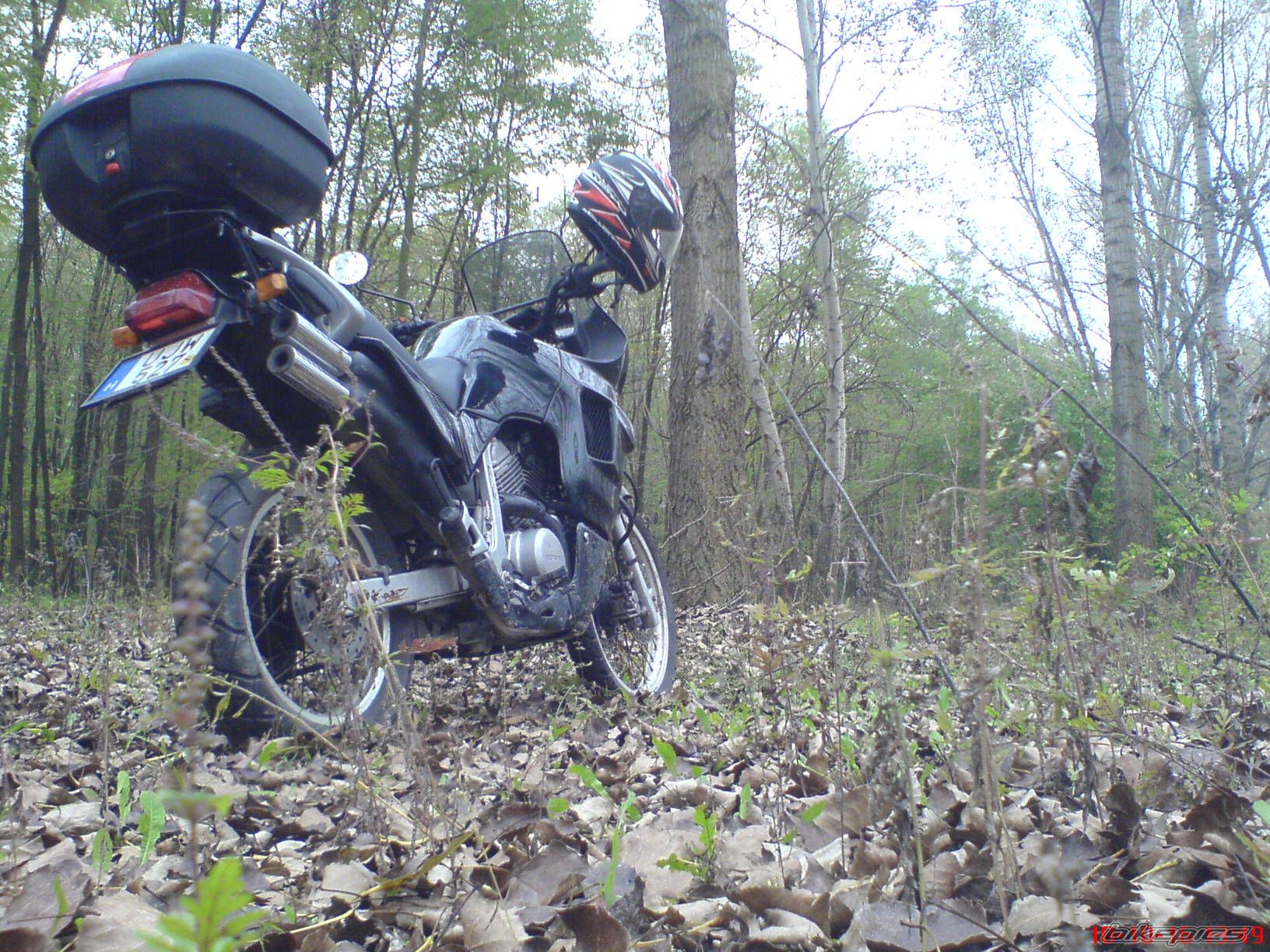 Bike Photo 2258321