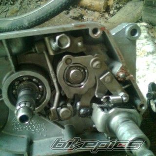 Photo 2258450