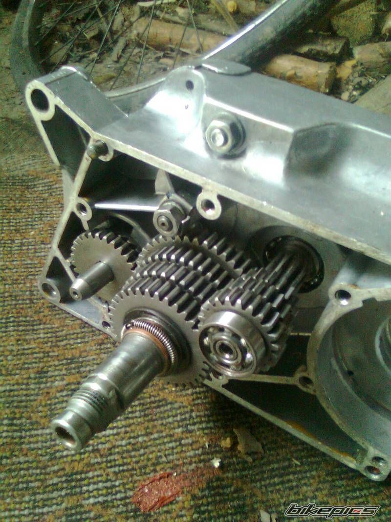 Photo 2258473