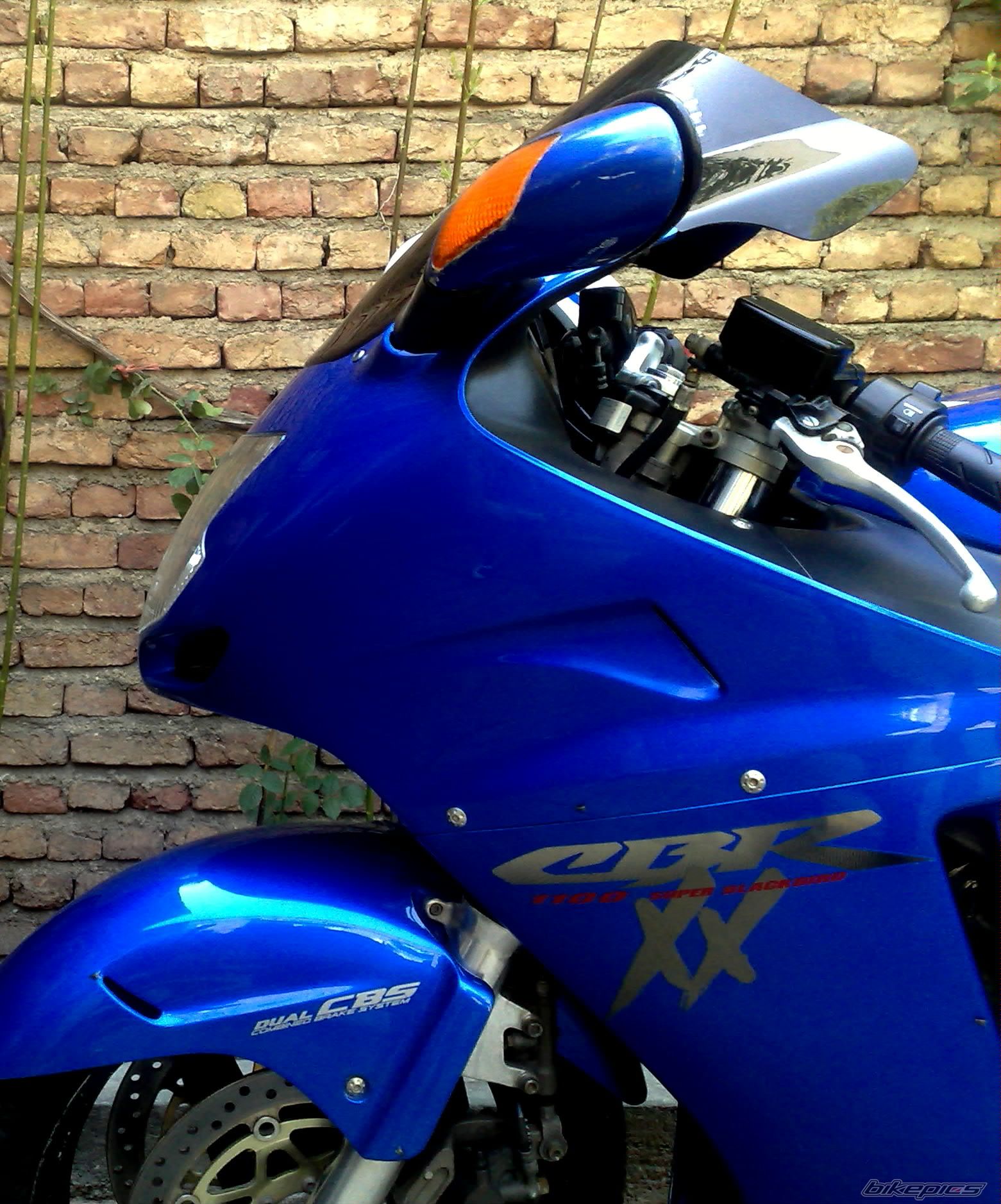 Photo 2258499