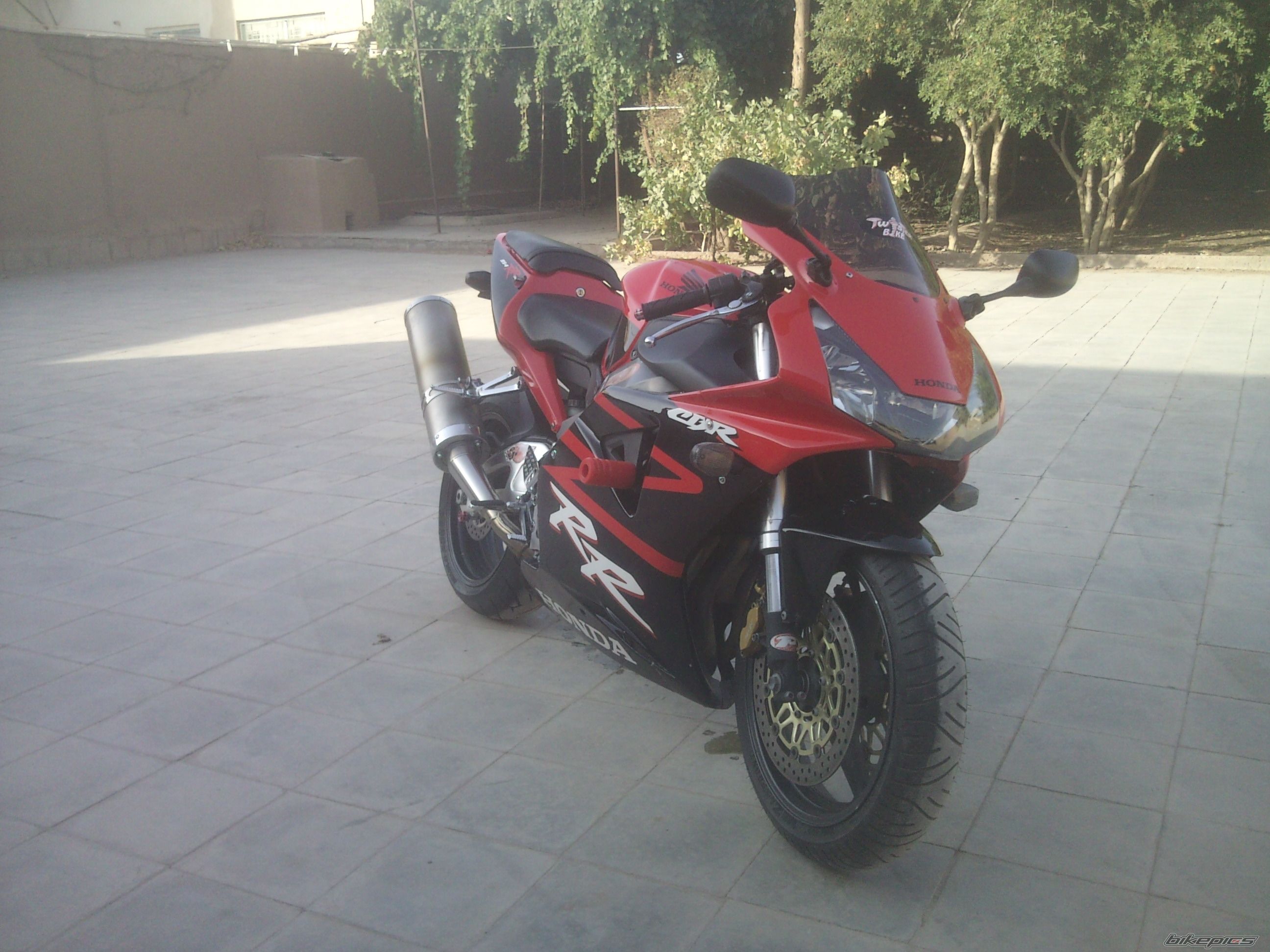 Photo 2258739