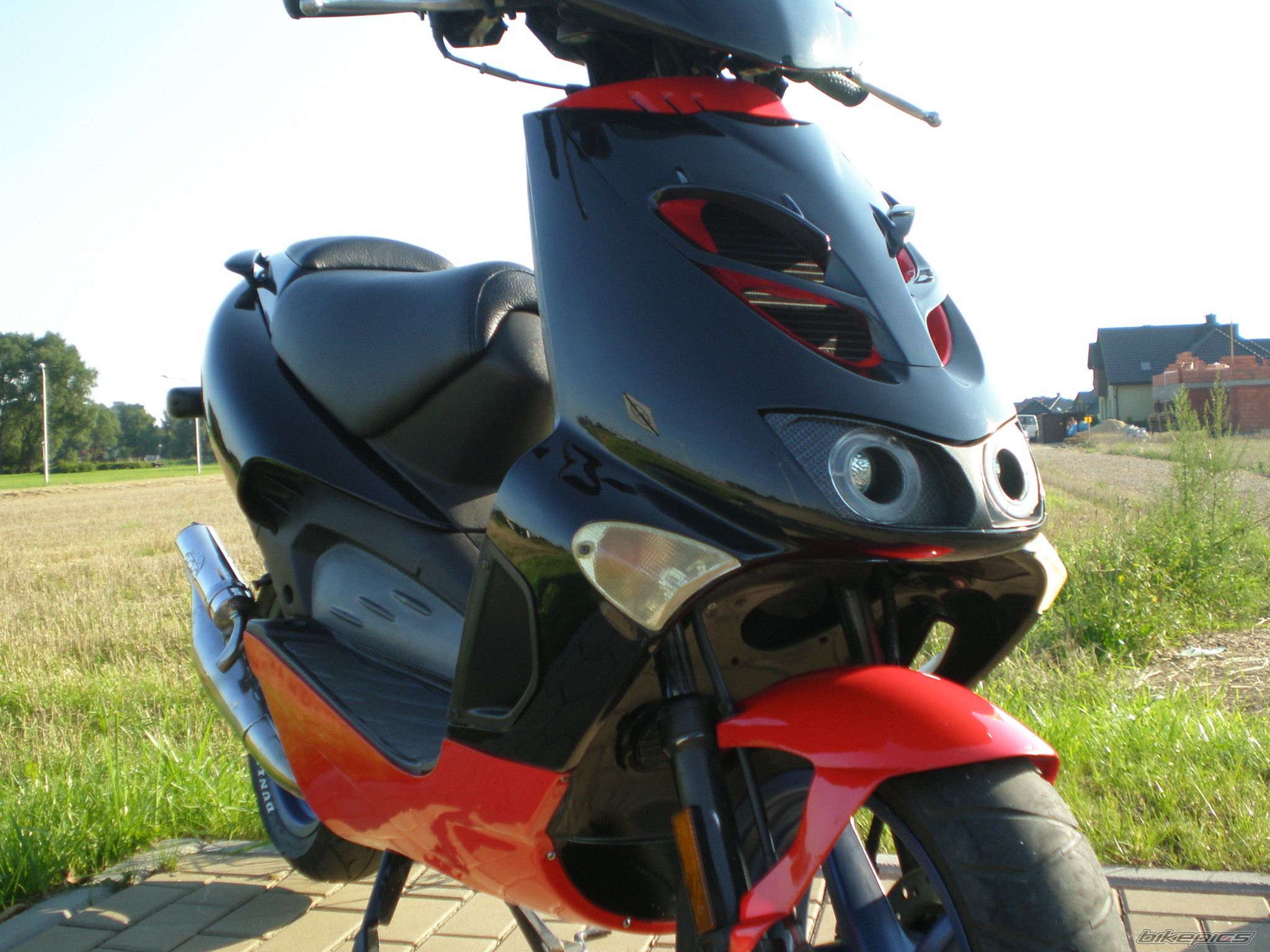 Photo 2258863