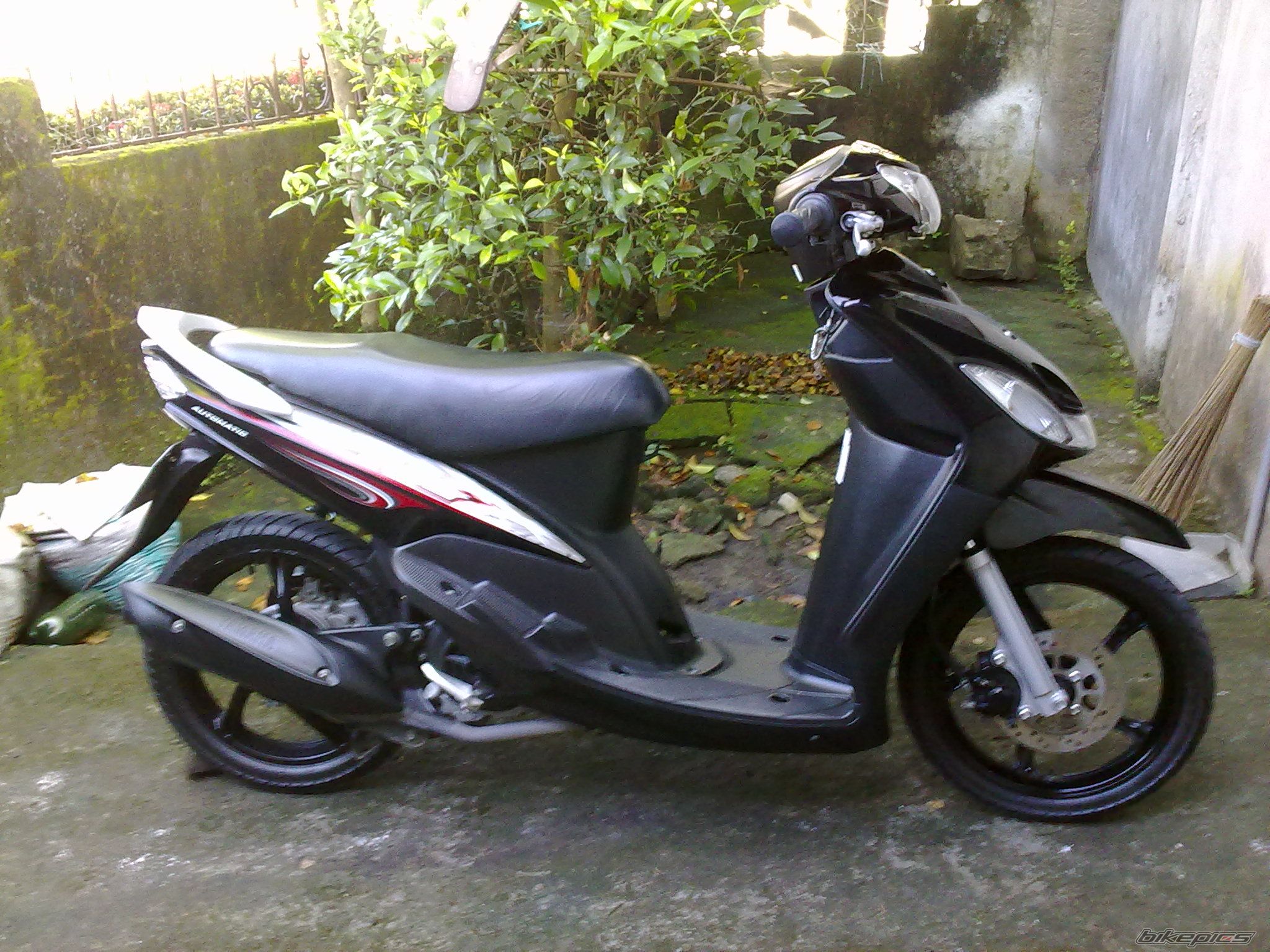 Photo 2258959