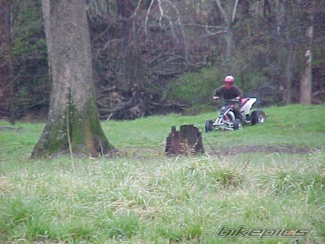 Photo 22590
