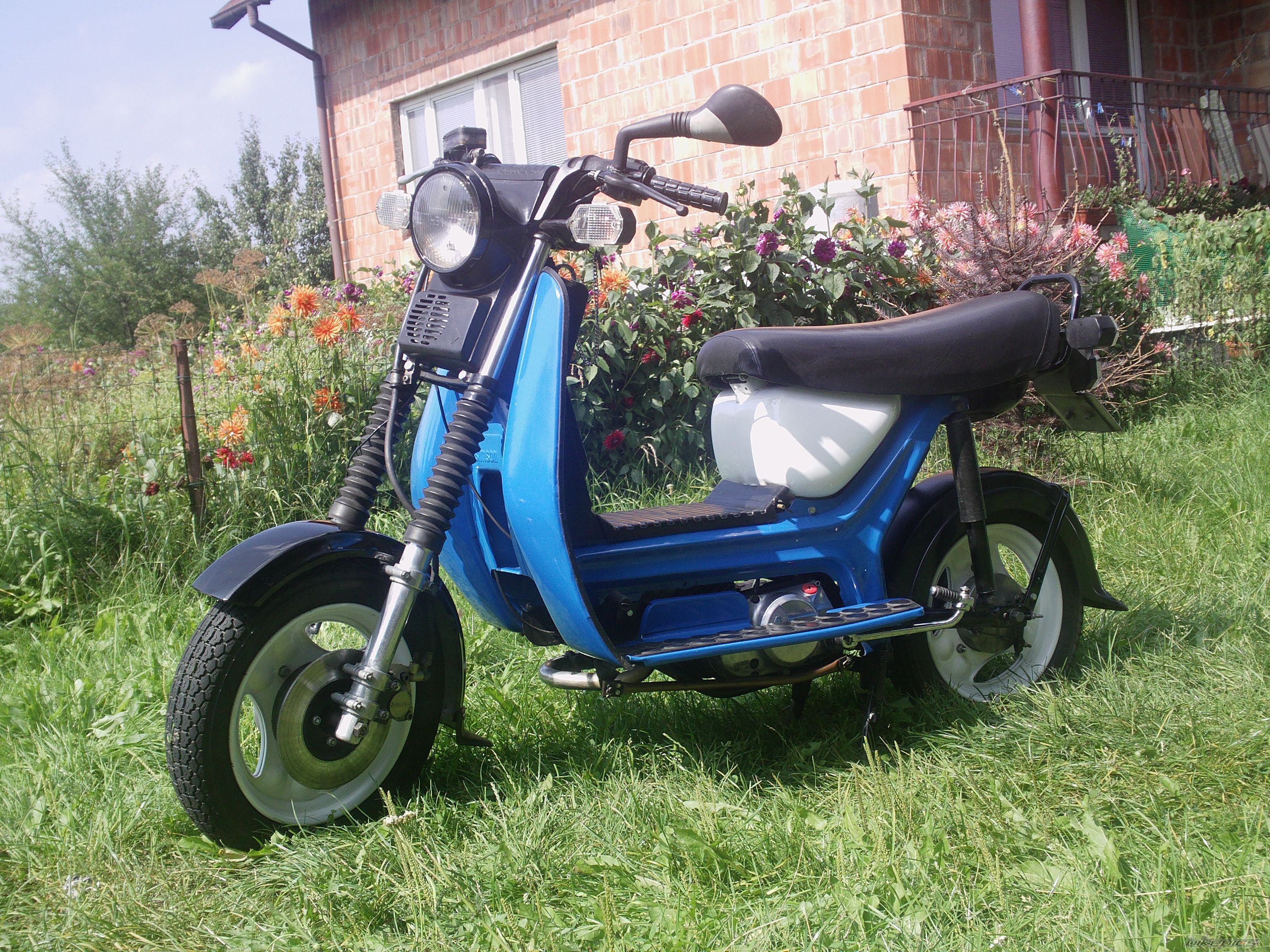 Photo 2259120