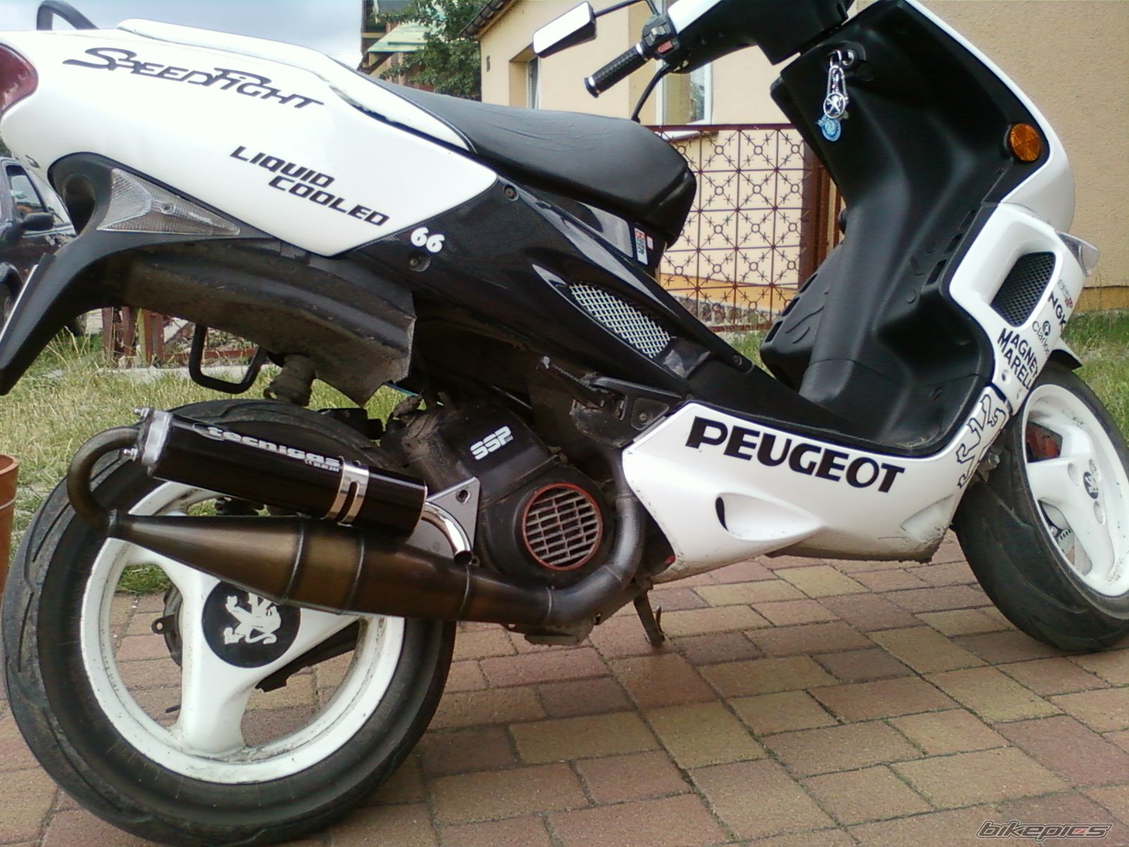Photo 2259161