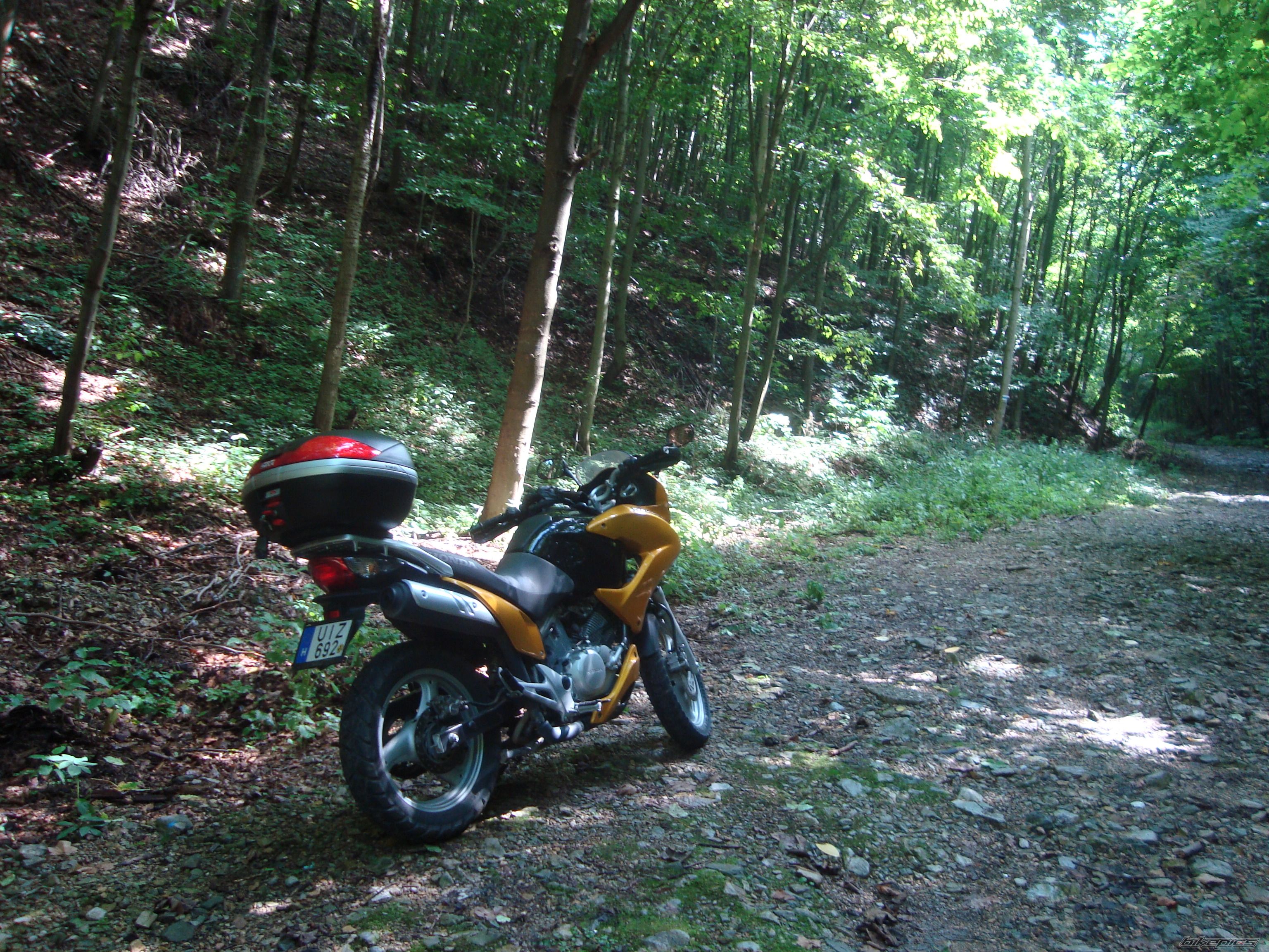 Bike Photo 2259195
