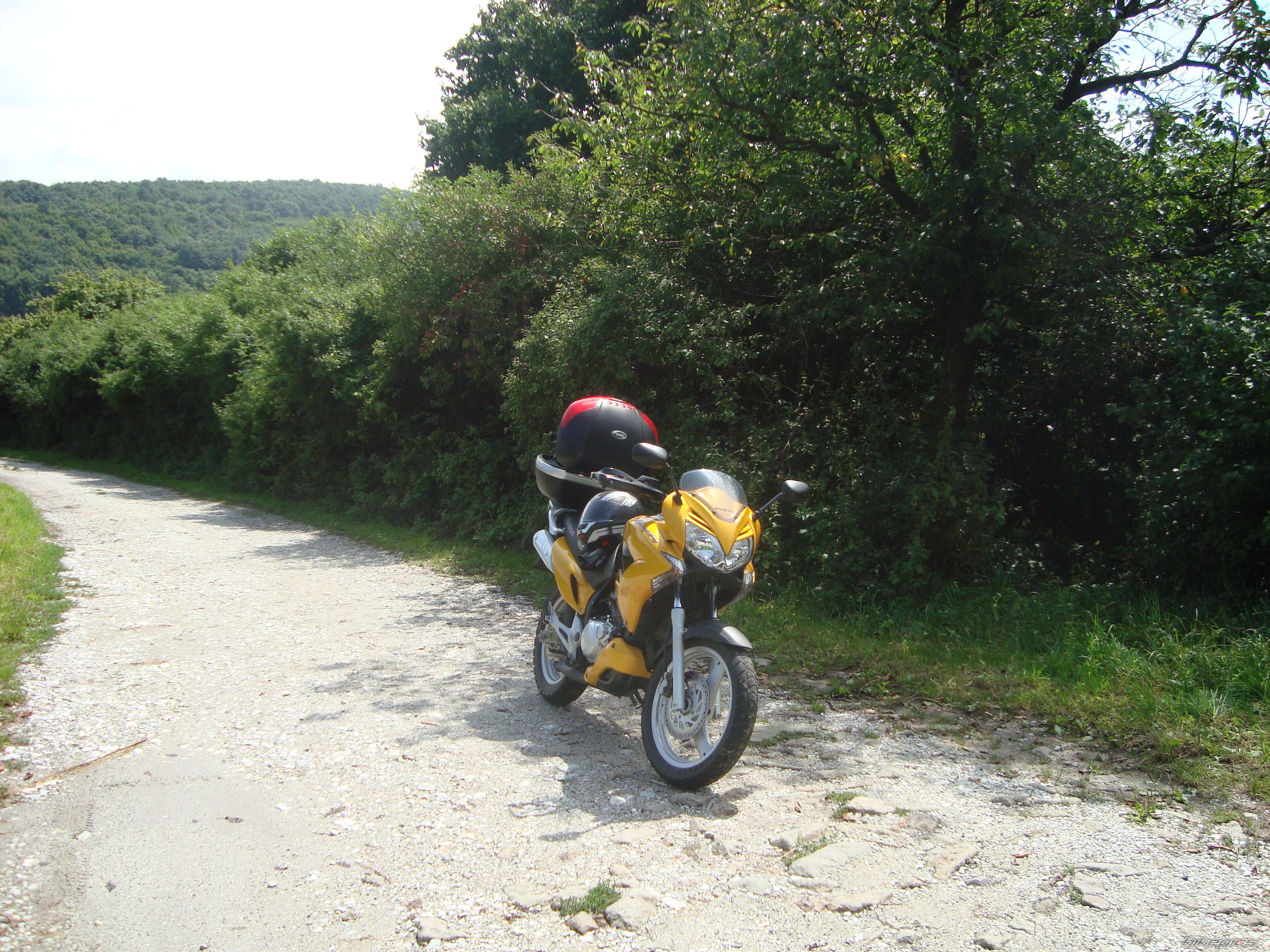 Photo 2259208