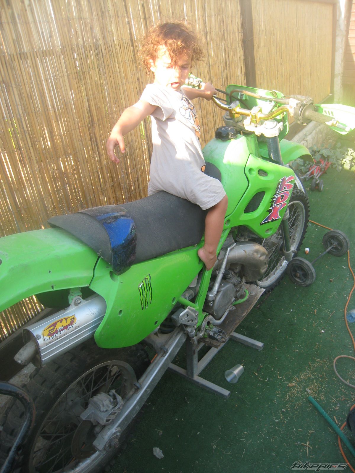 Photo 2259233