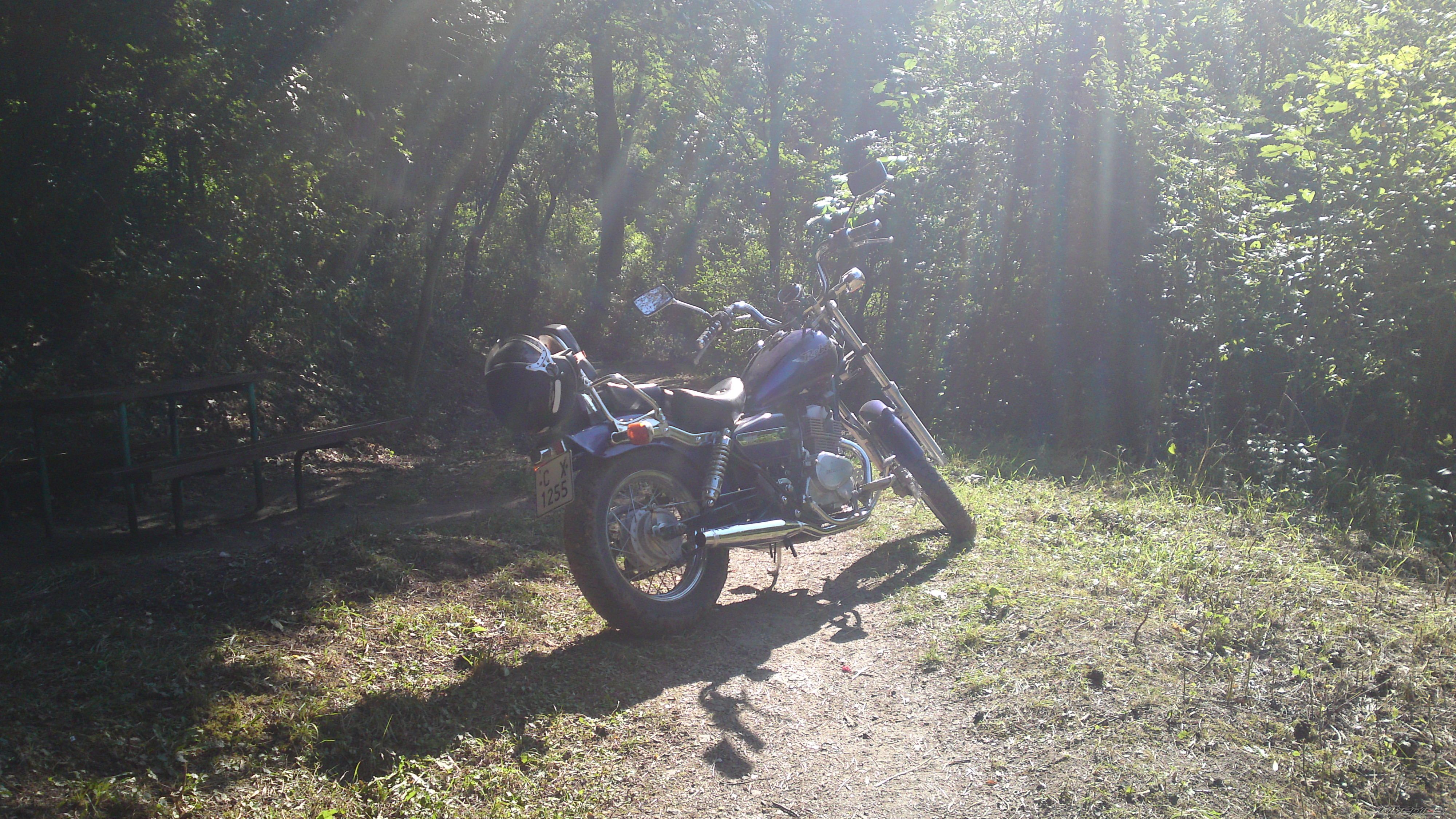 Photo 2259236