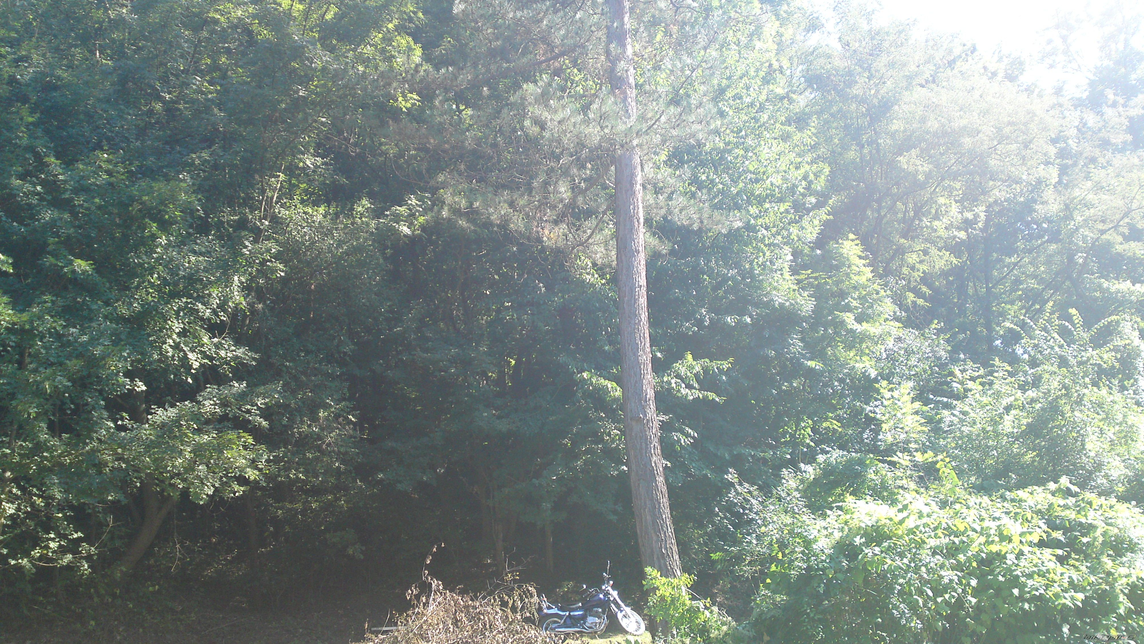 Photo 2259239