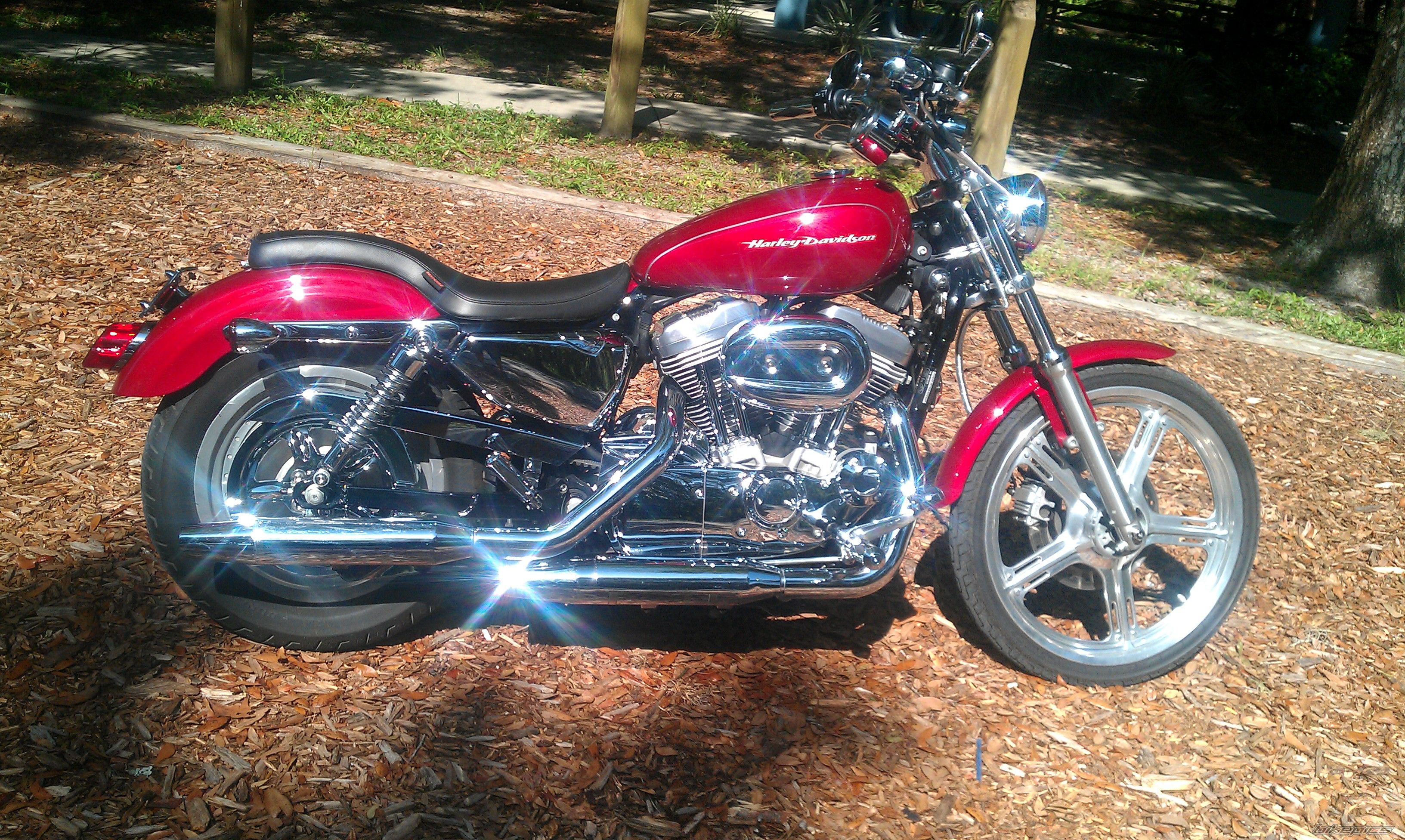 Photo 2259324