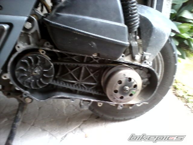 Photo 2259434