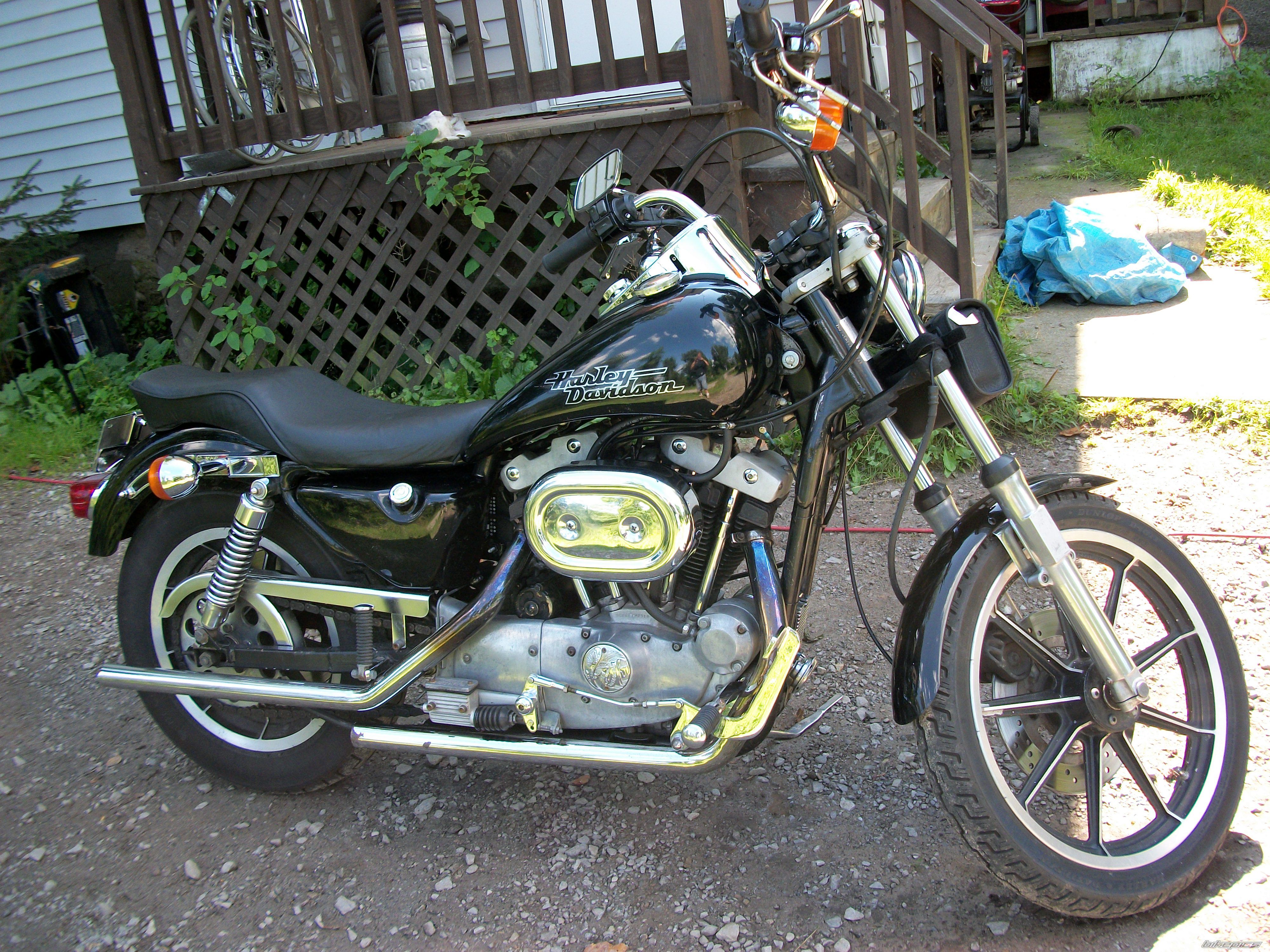 Photo 2259504