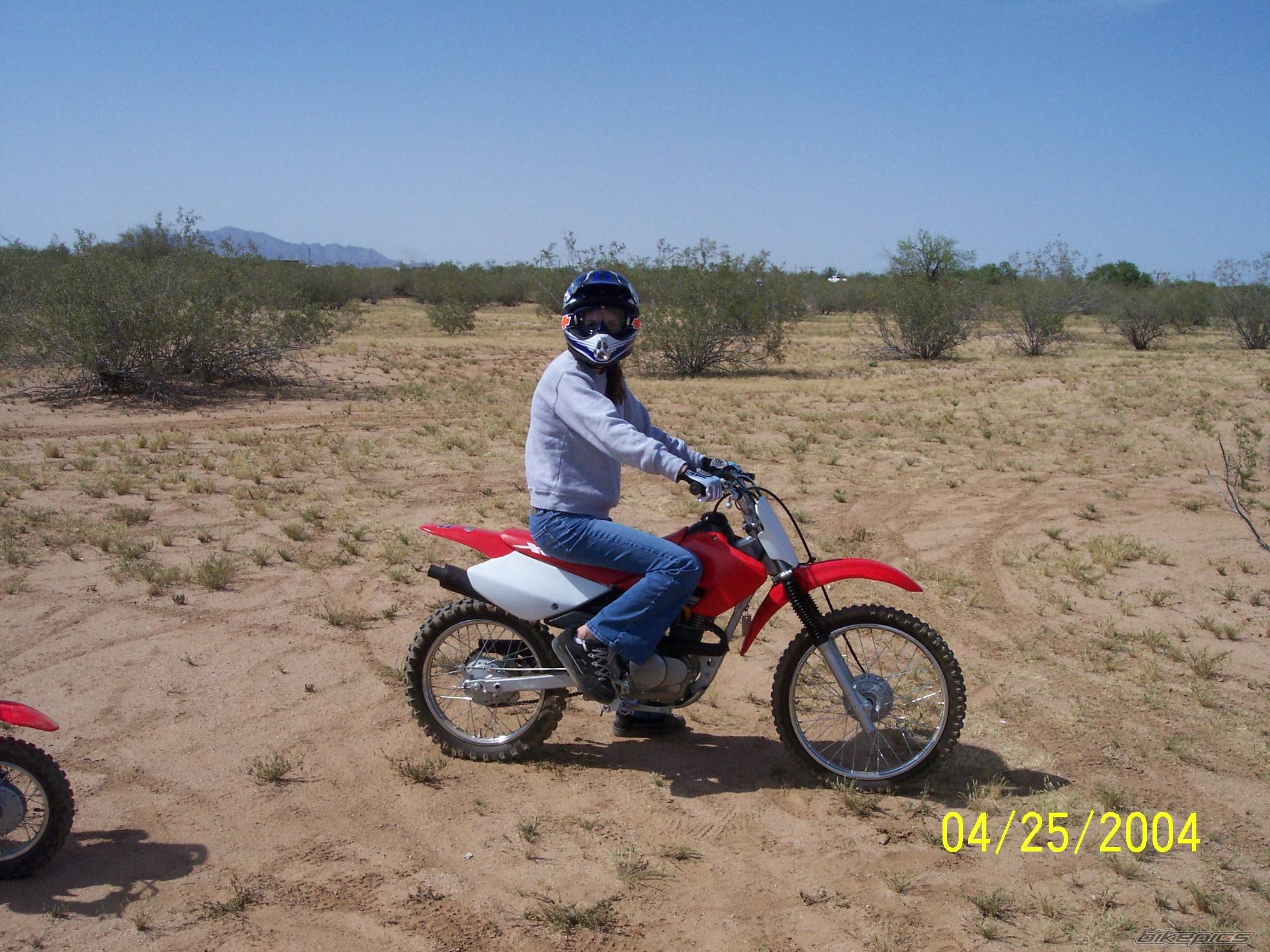 Photo 225957