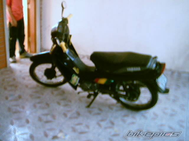 Photo 225961