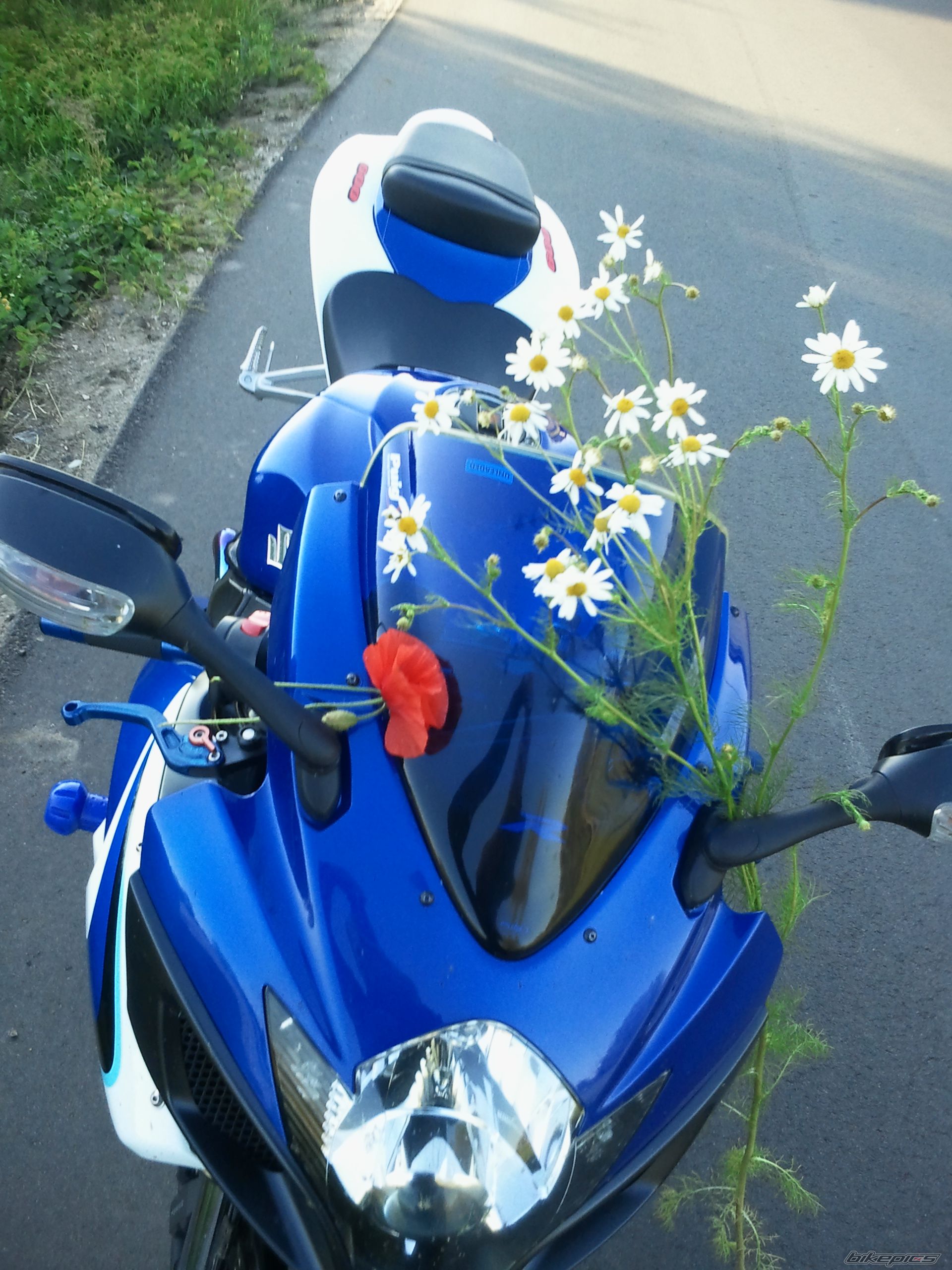 Photo 2259724