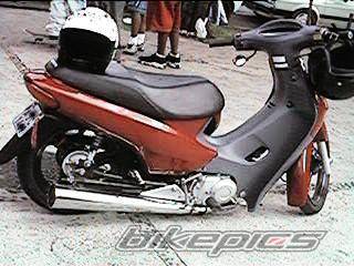 Photo 225975