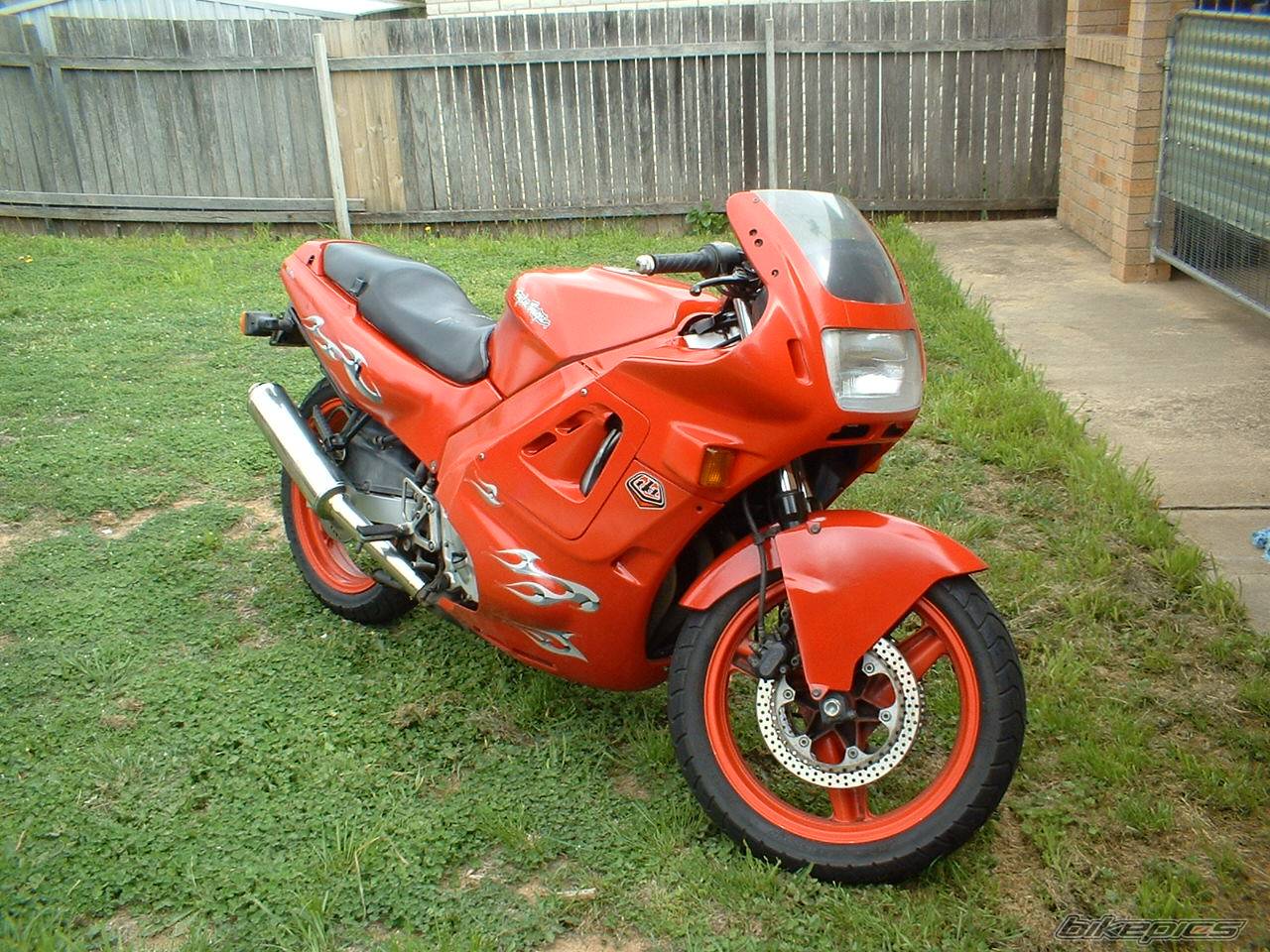 Photo 225976