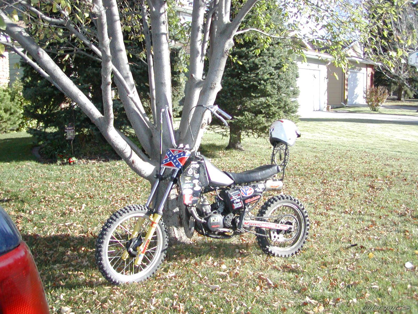 Photo 225977
