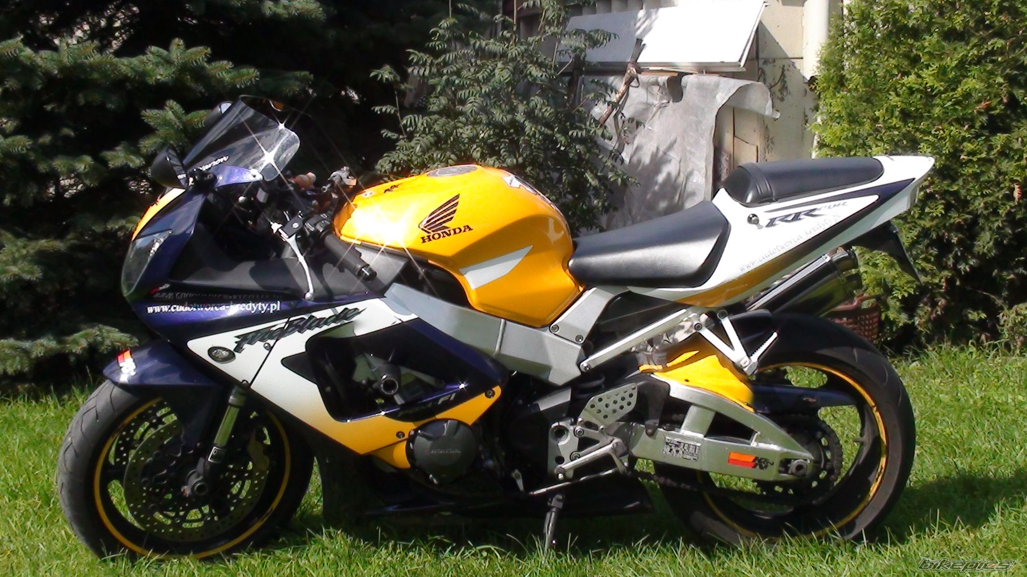Photo 2259784