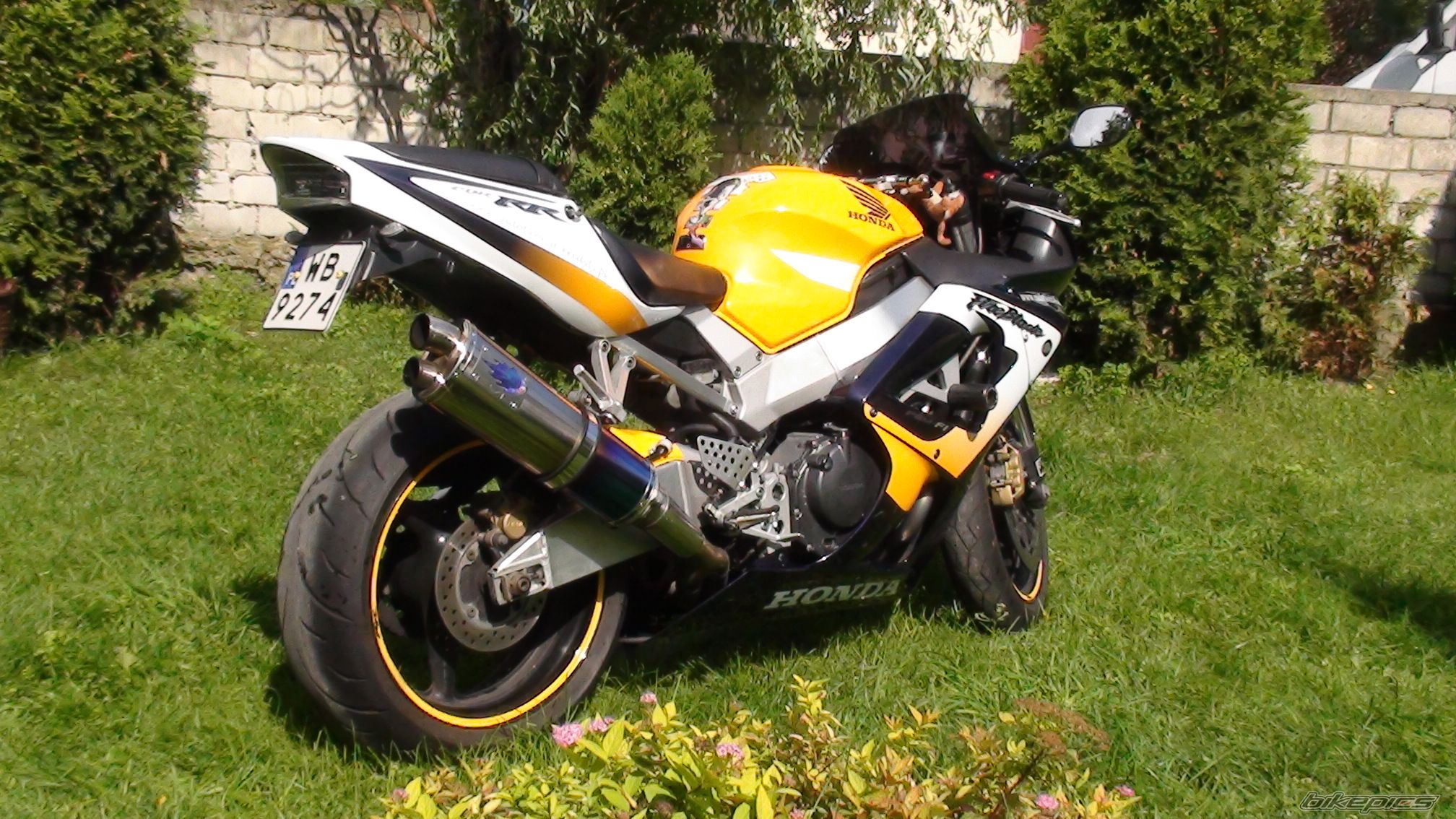 Photo 2259798