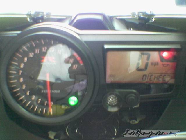 Photo 225980