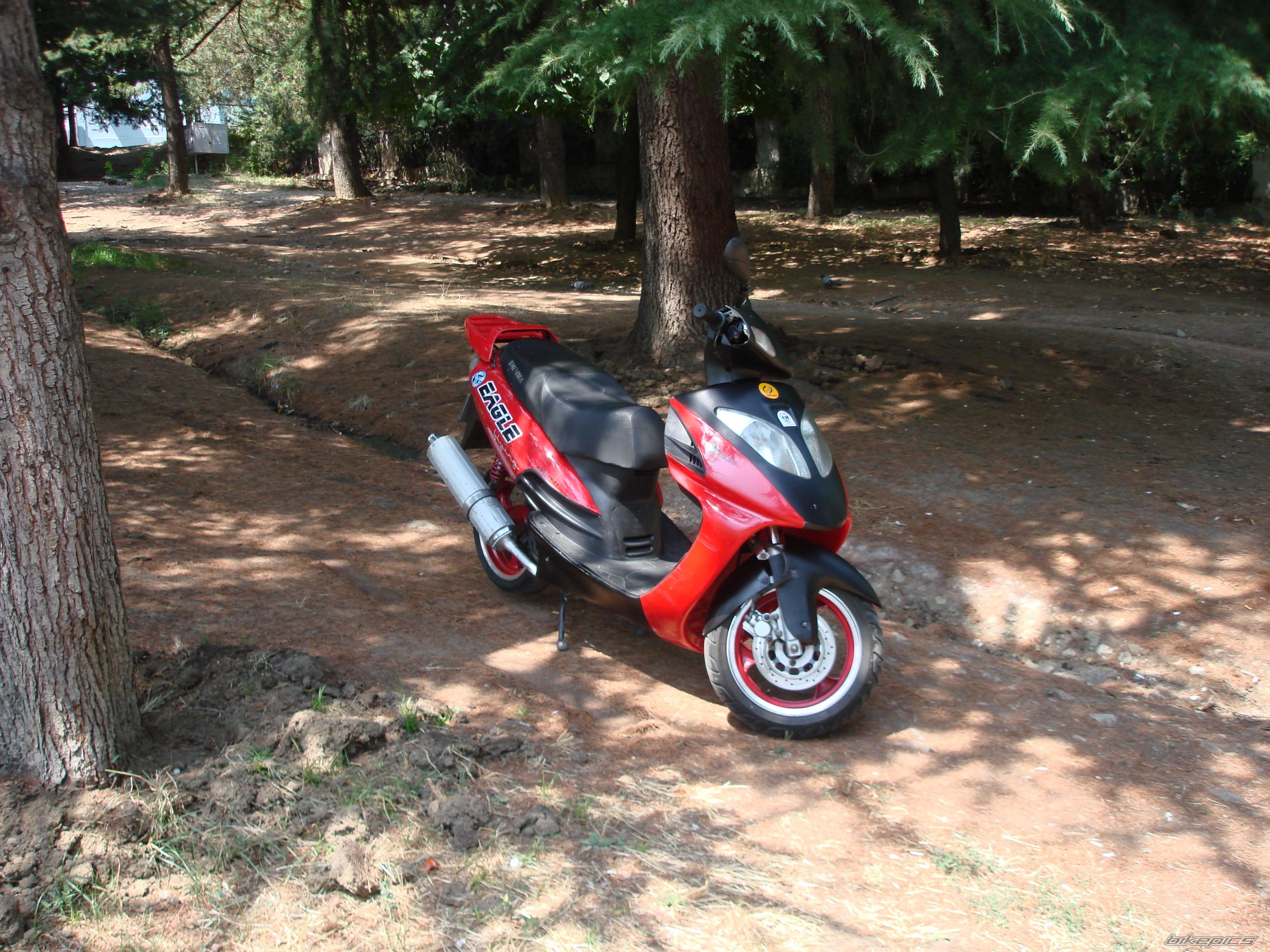 Photo 2259892