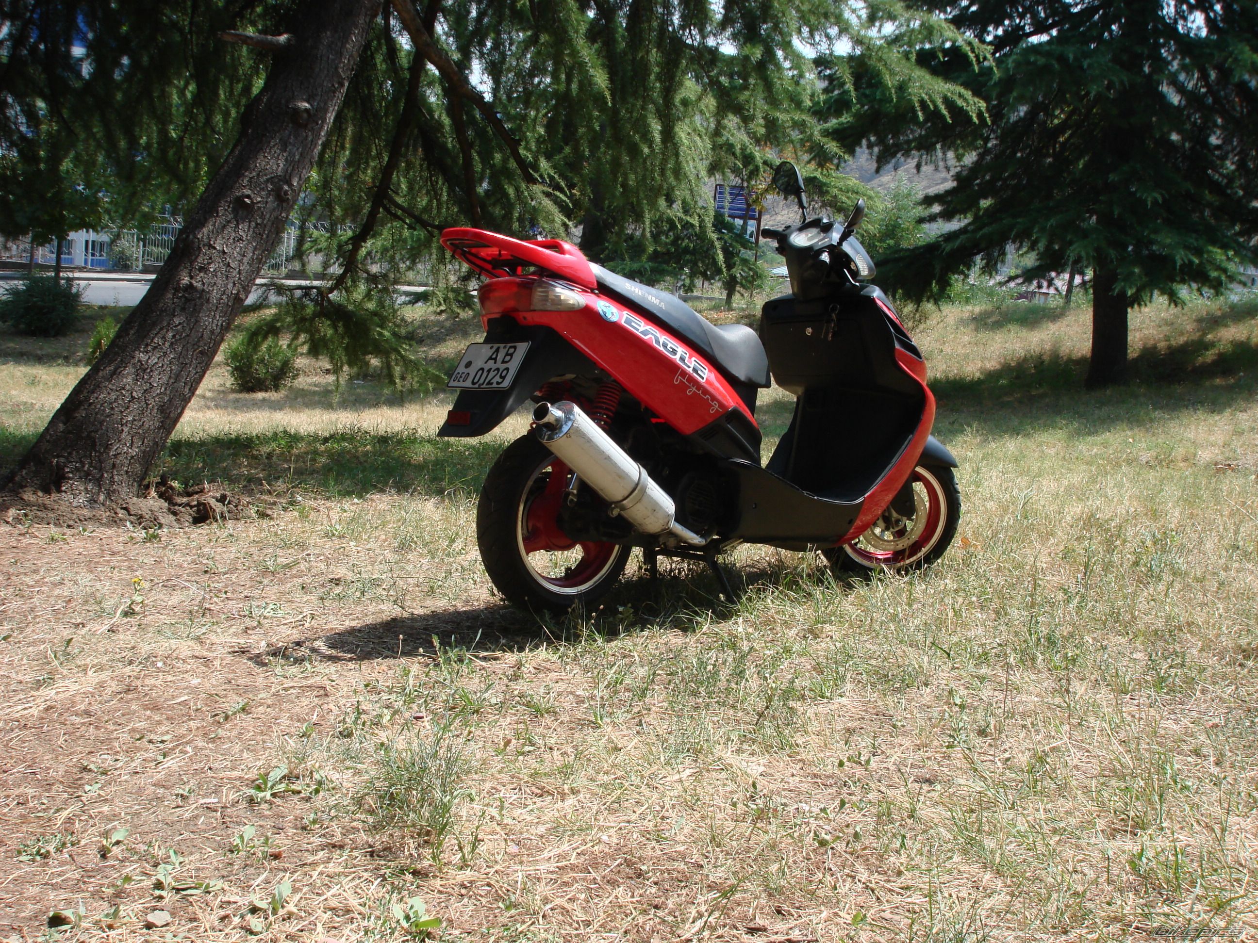 Photo 2259896