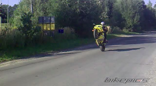 Photo 2259916
