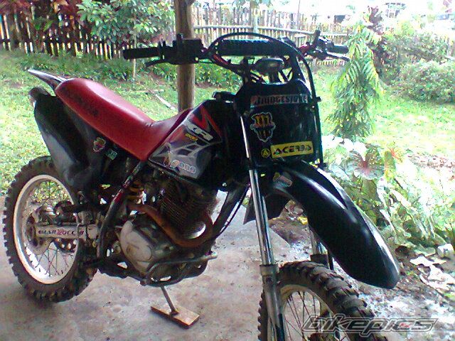 Photo 2259969