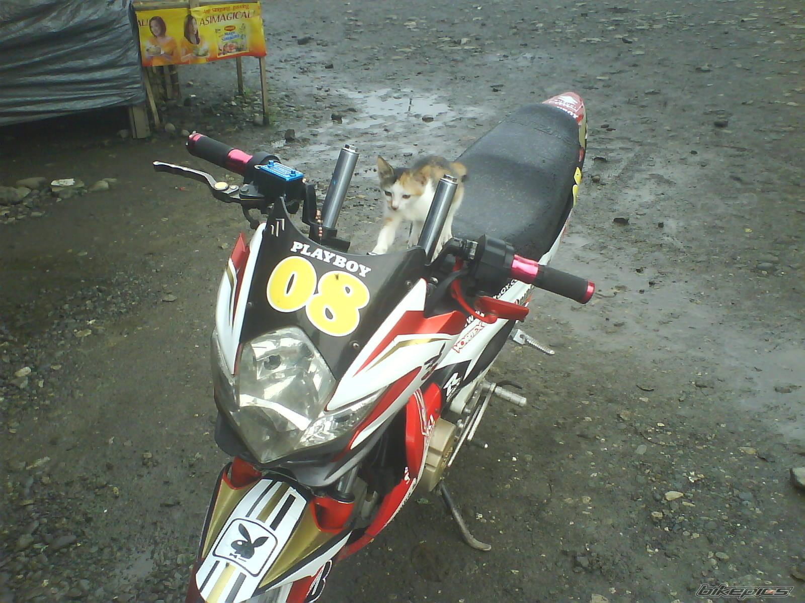 Photo 2259978