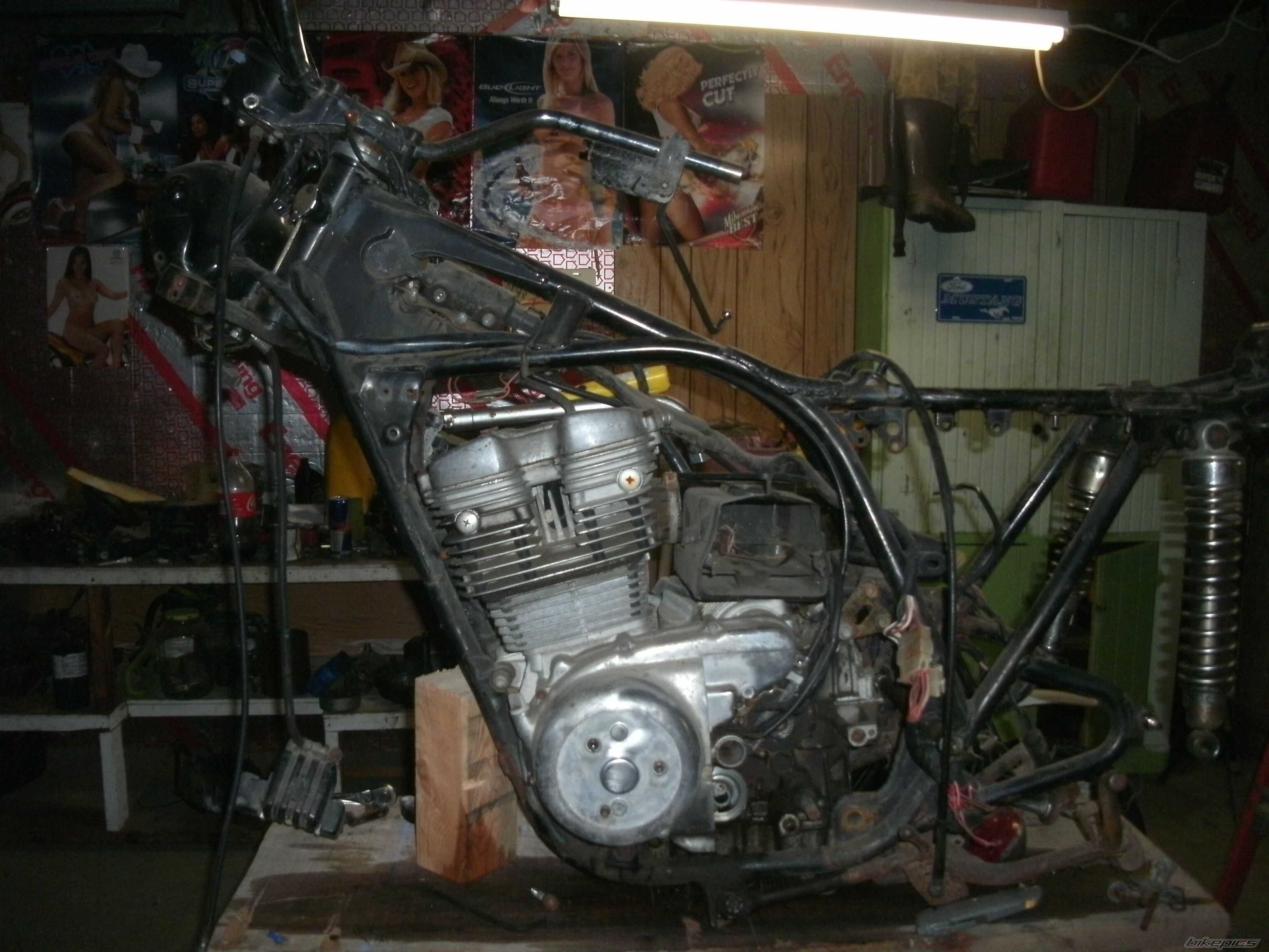 Photo 2259986