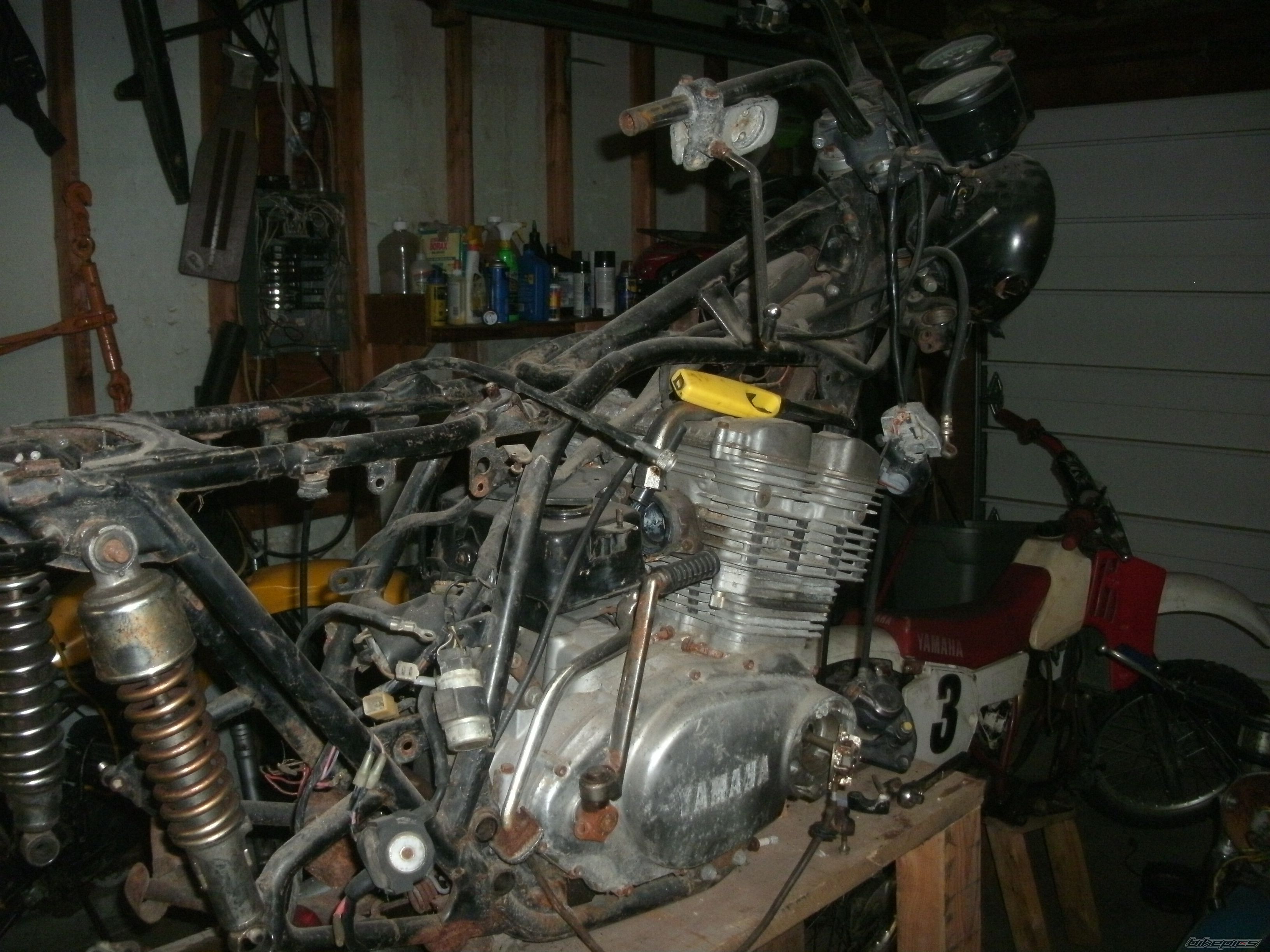 Photo 2259987