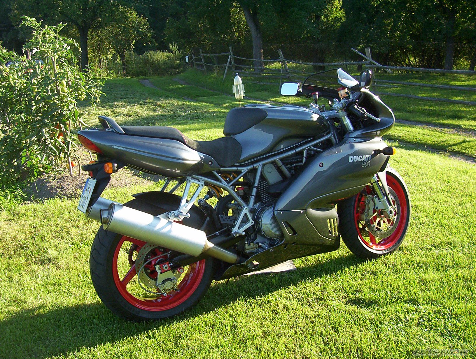 Photo 2260033