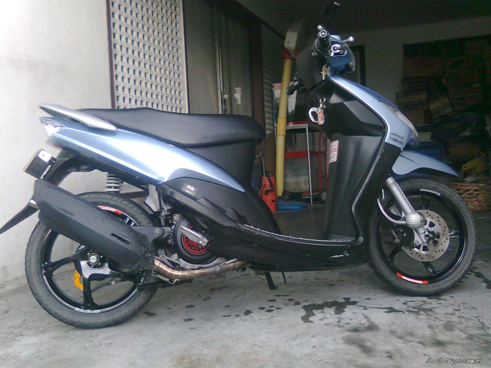 Photo 2260068