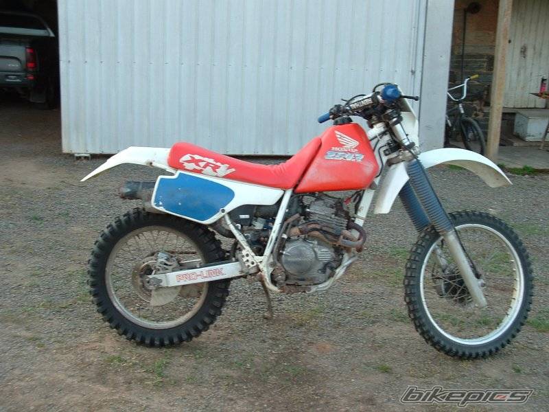 Bike Photo 226009