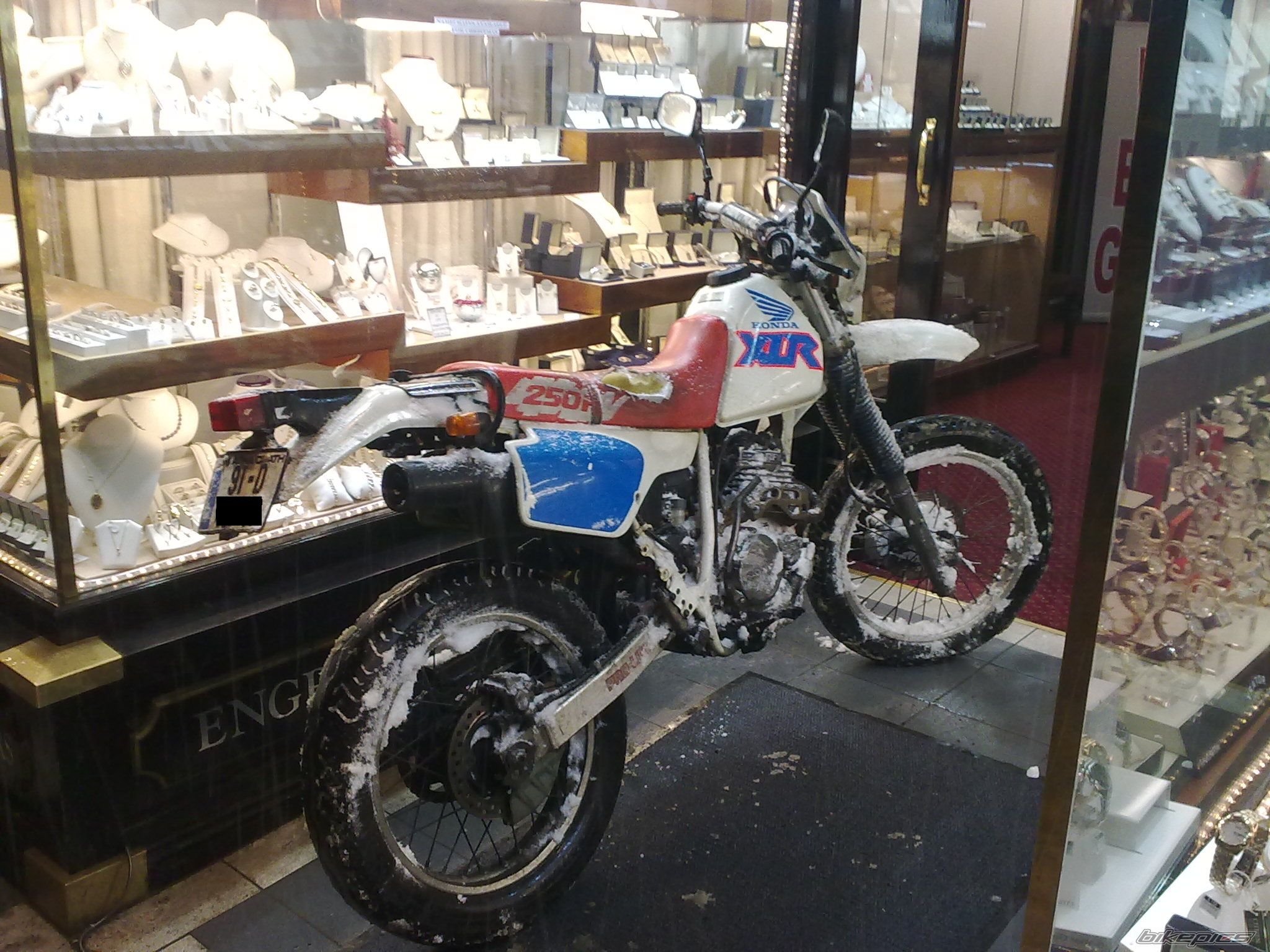 Photo 2260411