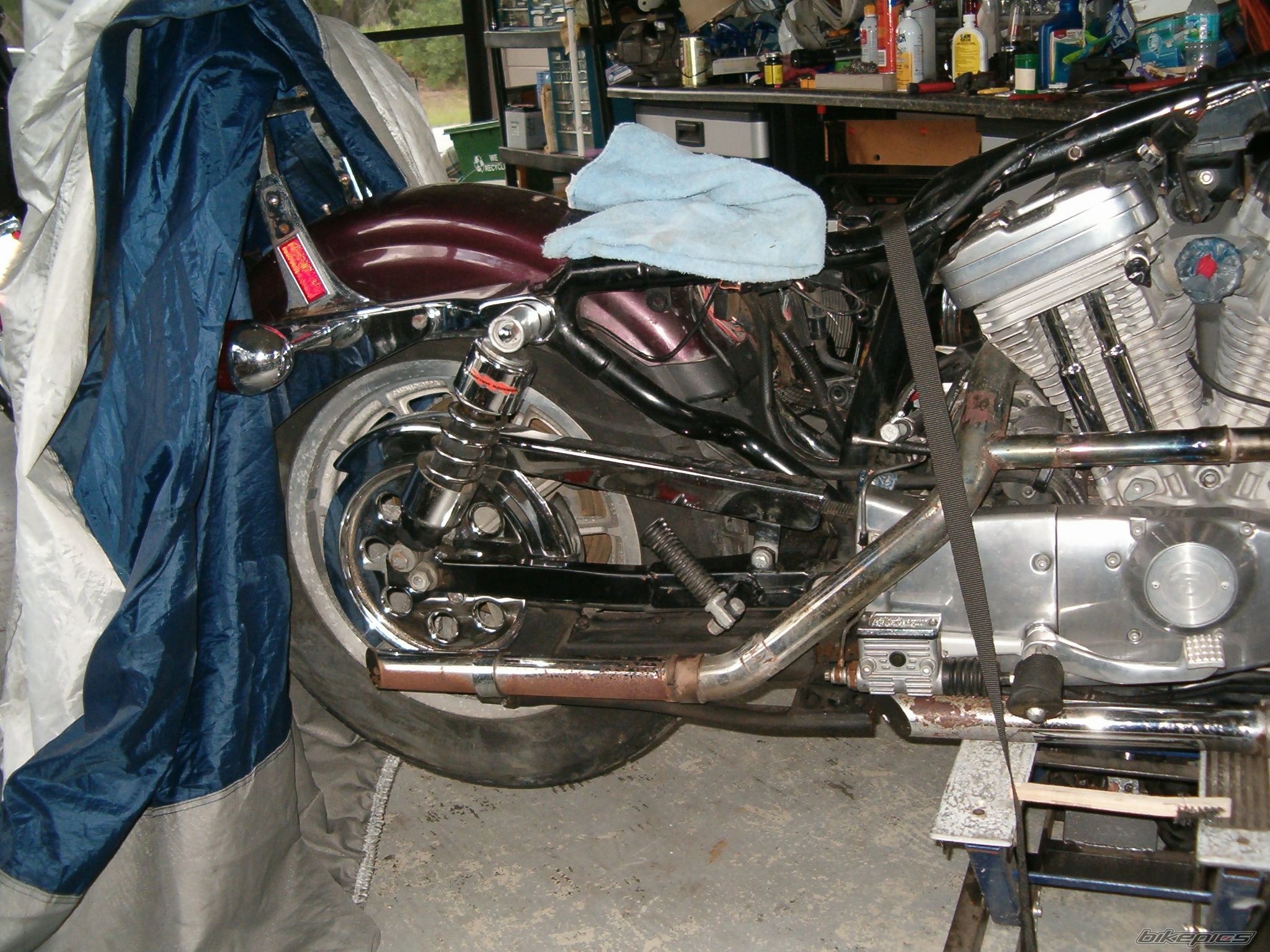 Photo 2260479