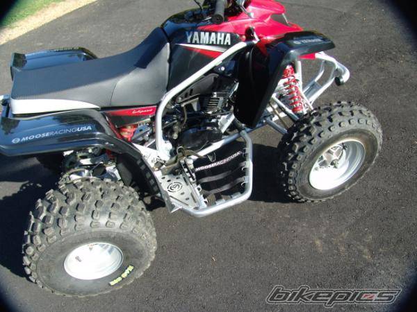 Photo 226057