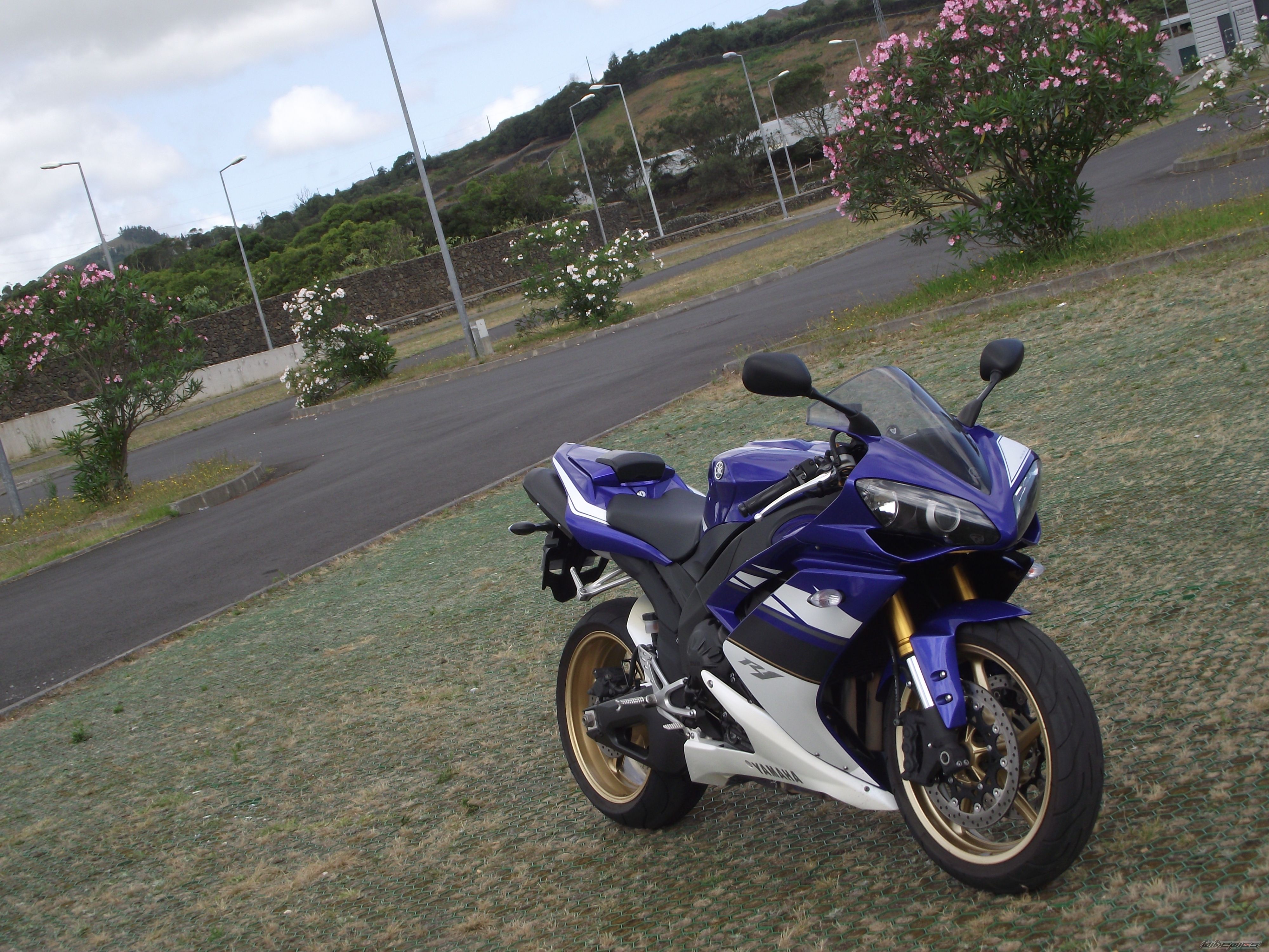 Photo 2260864