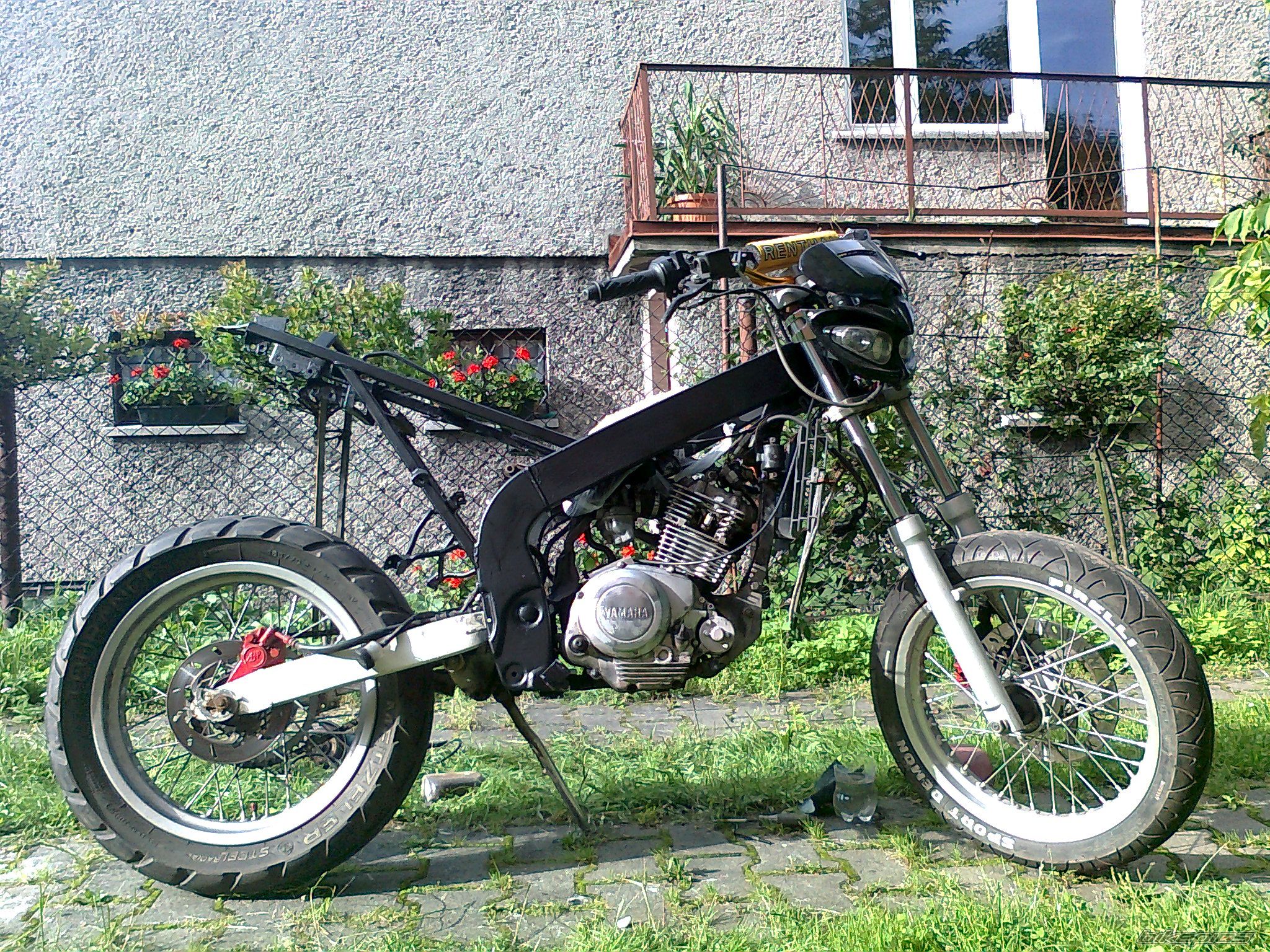 Photo 2260895