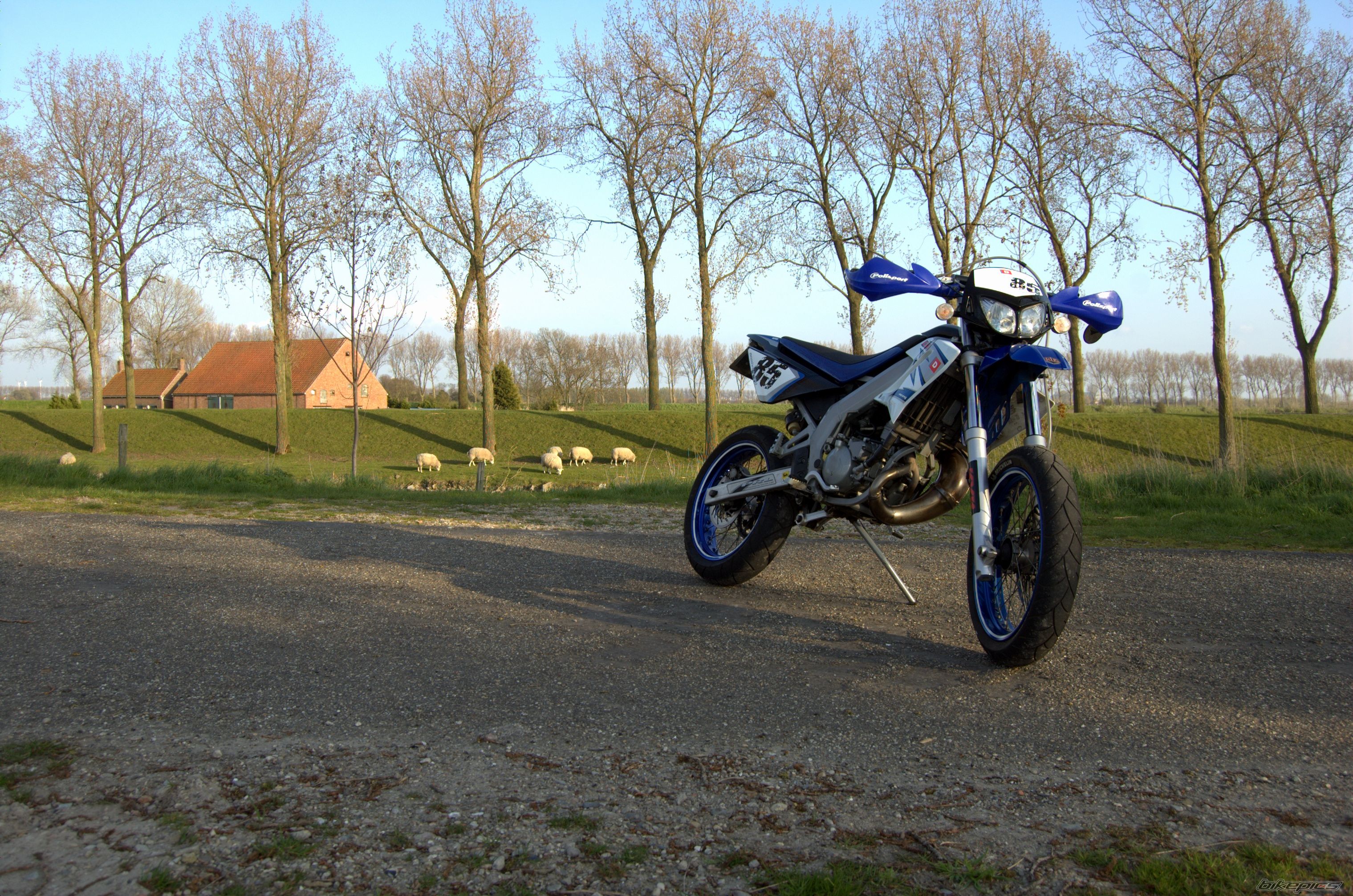Photo 2260929