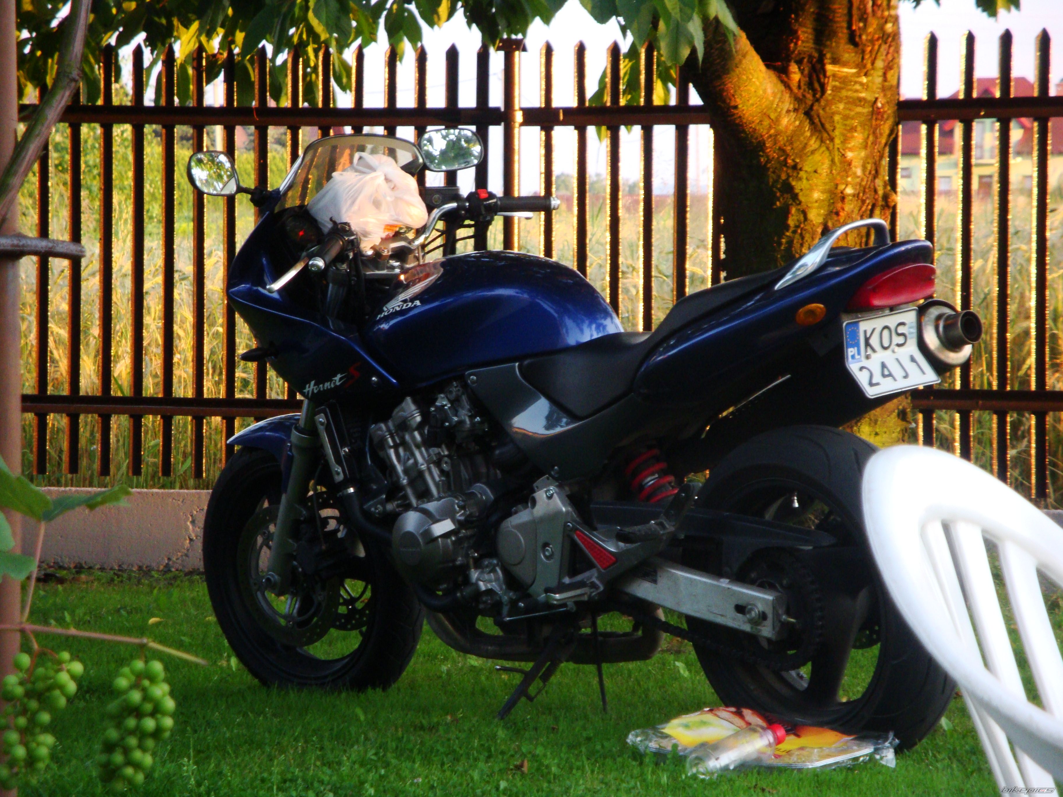 Photo 2260933