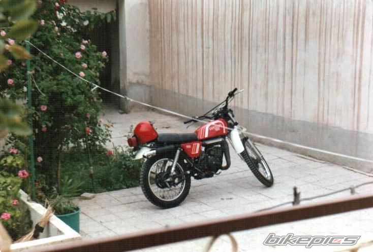 Photo 2260971
